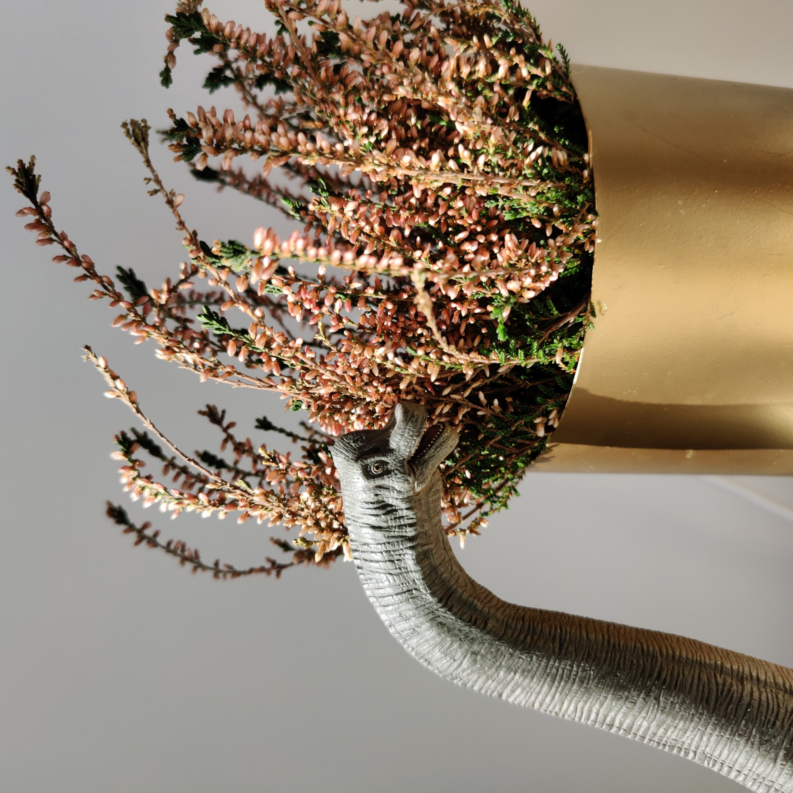 Heather plant in a golden pot with a decorative dinosaur element, showing some browning.