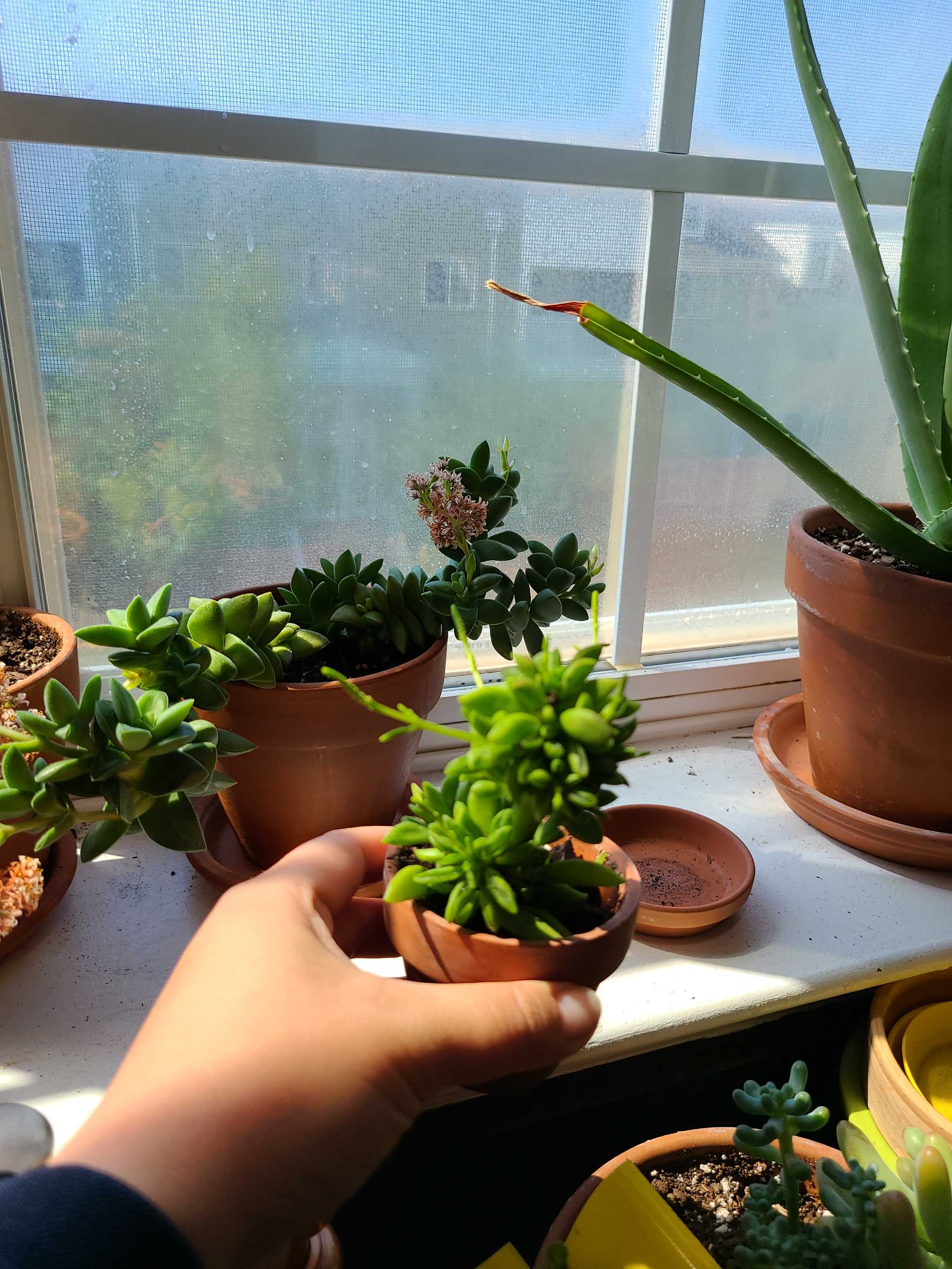 Photo from the post