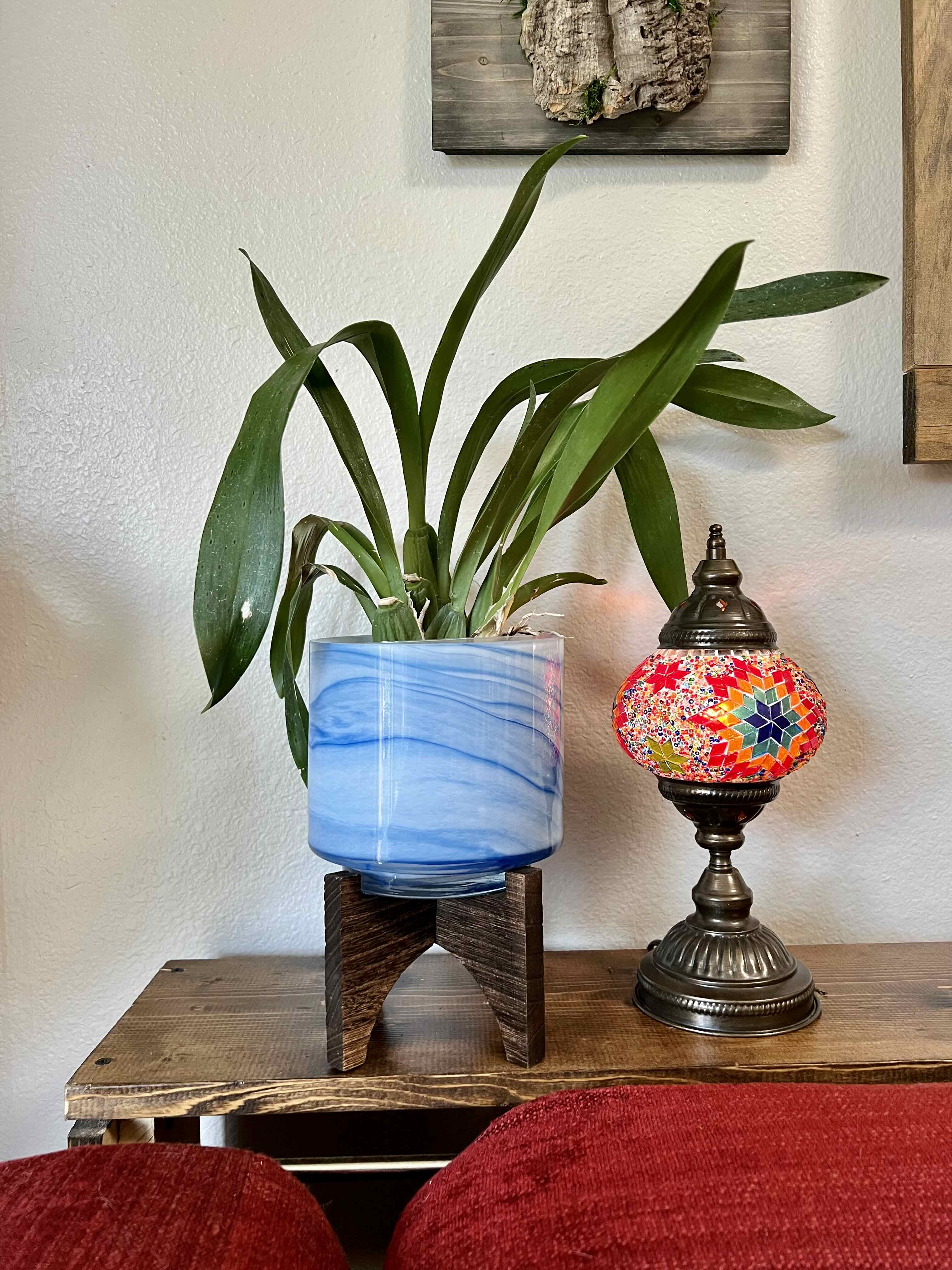 Oncidium sharry baby 'Sweet Fragrance' plant in a blue pot on a wooden stand, with a colorful lamp nearby.