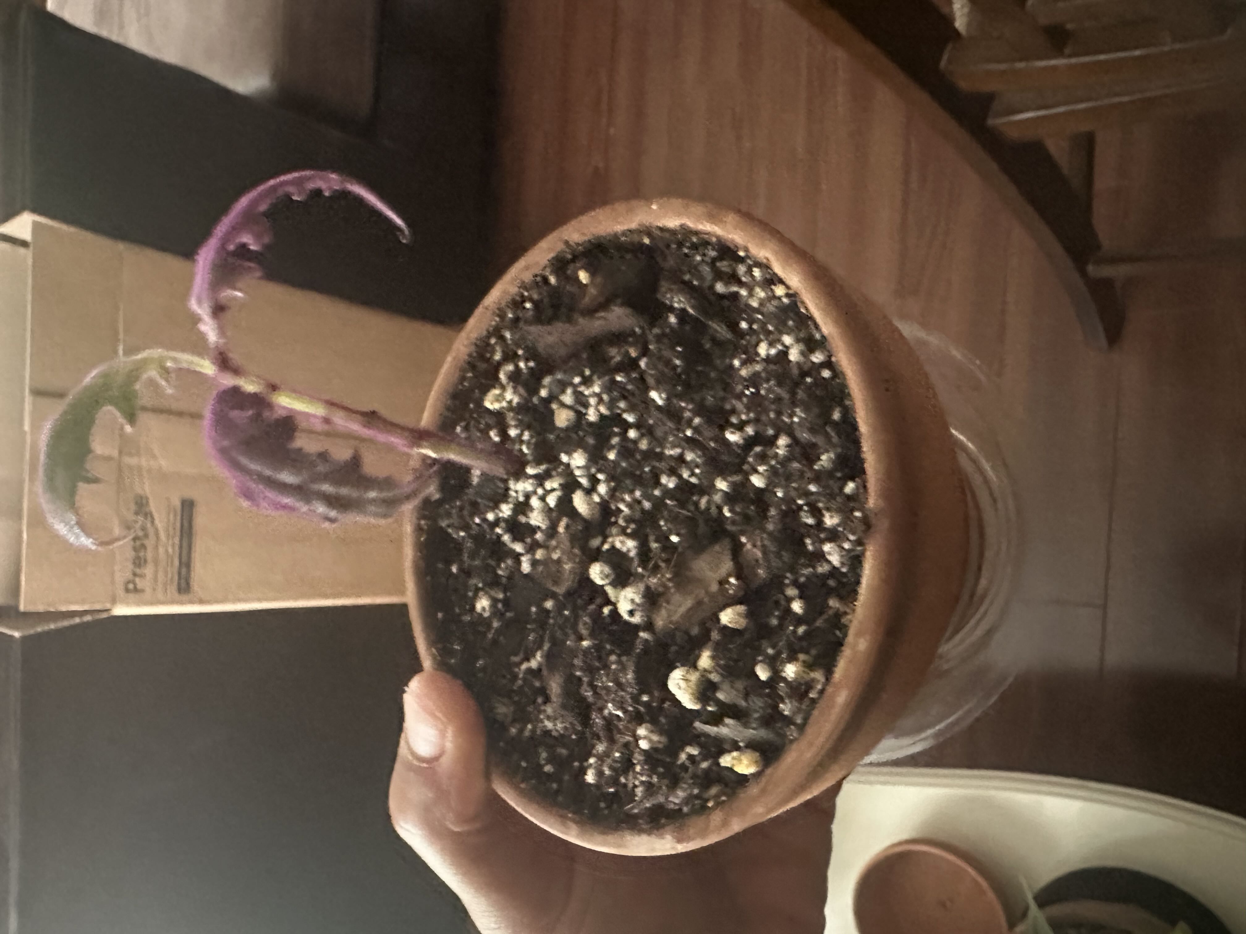Photo from the post