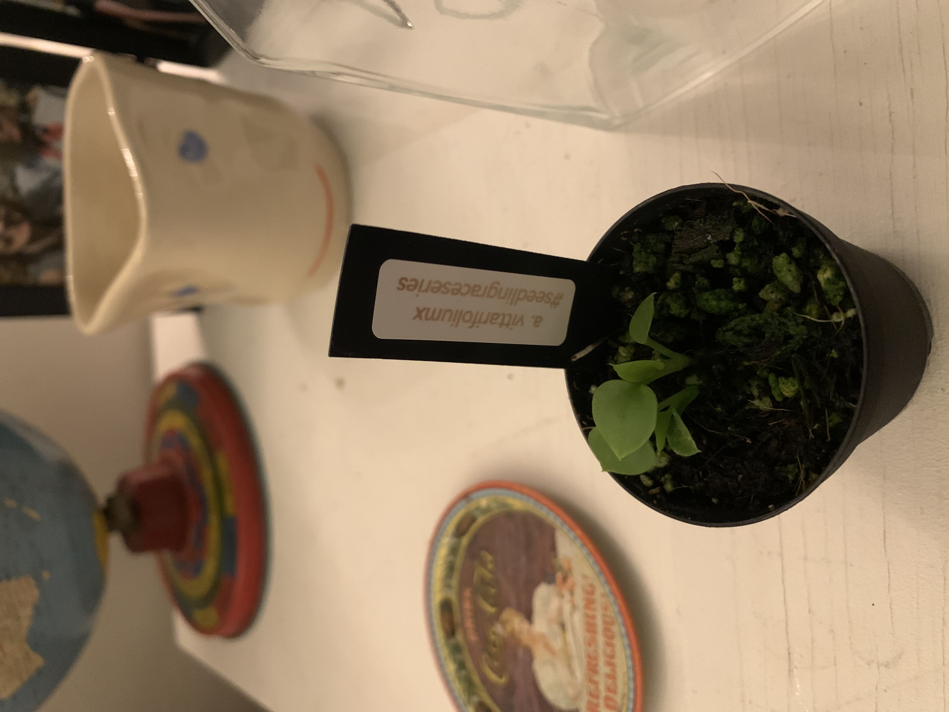 Photo from the post