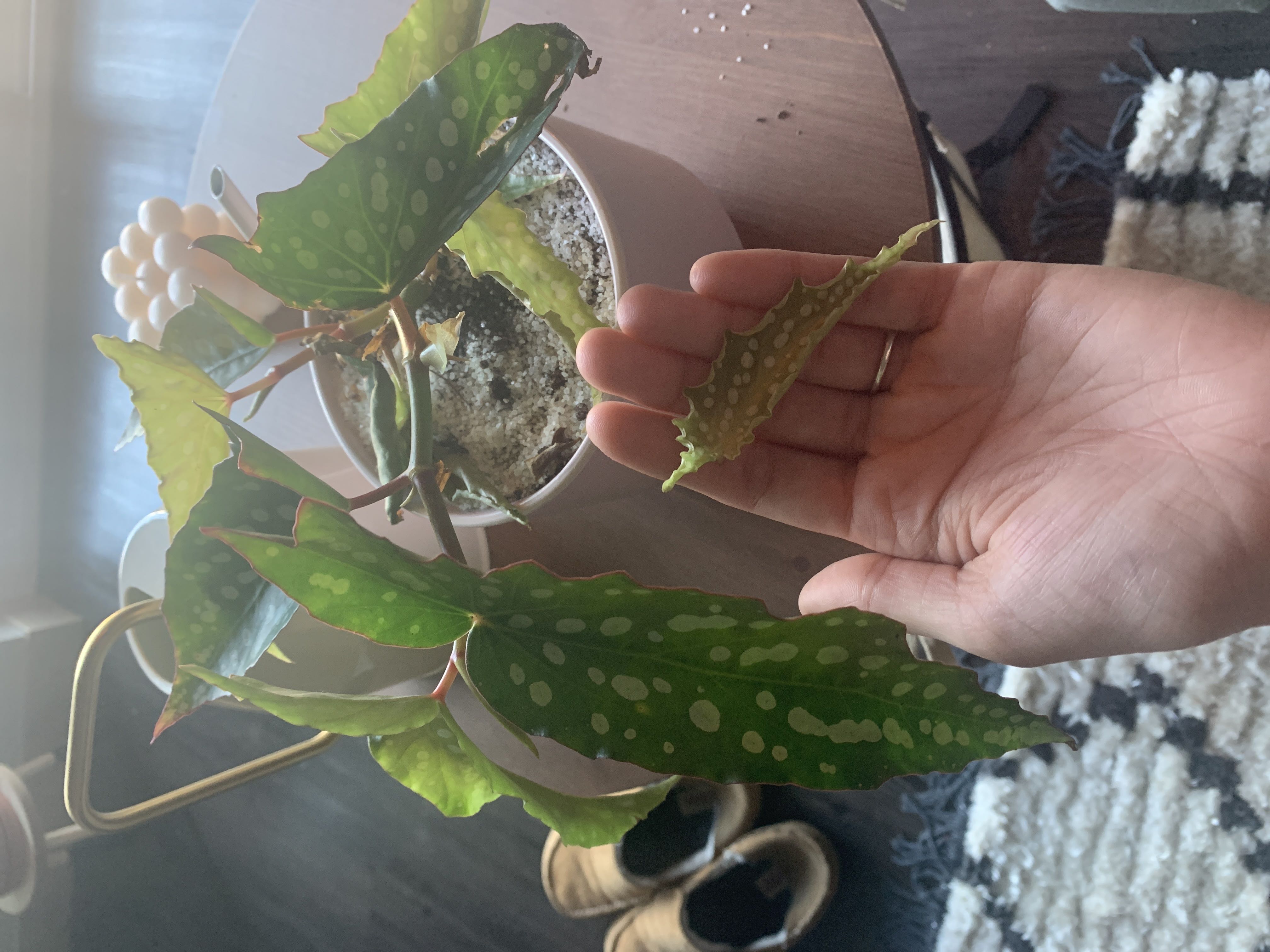 Photo from the post