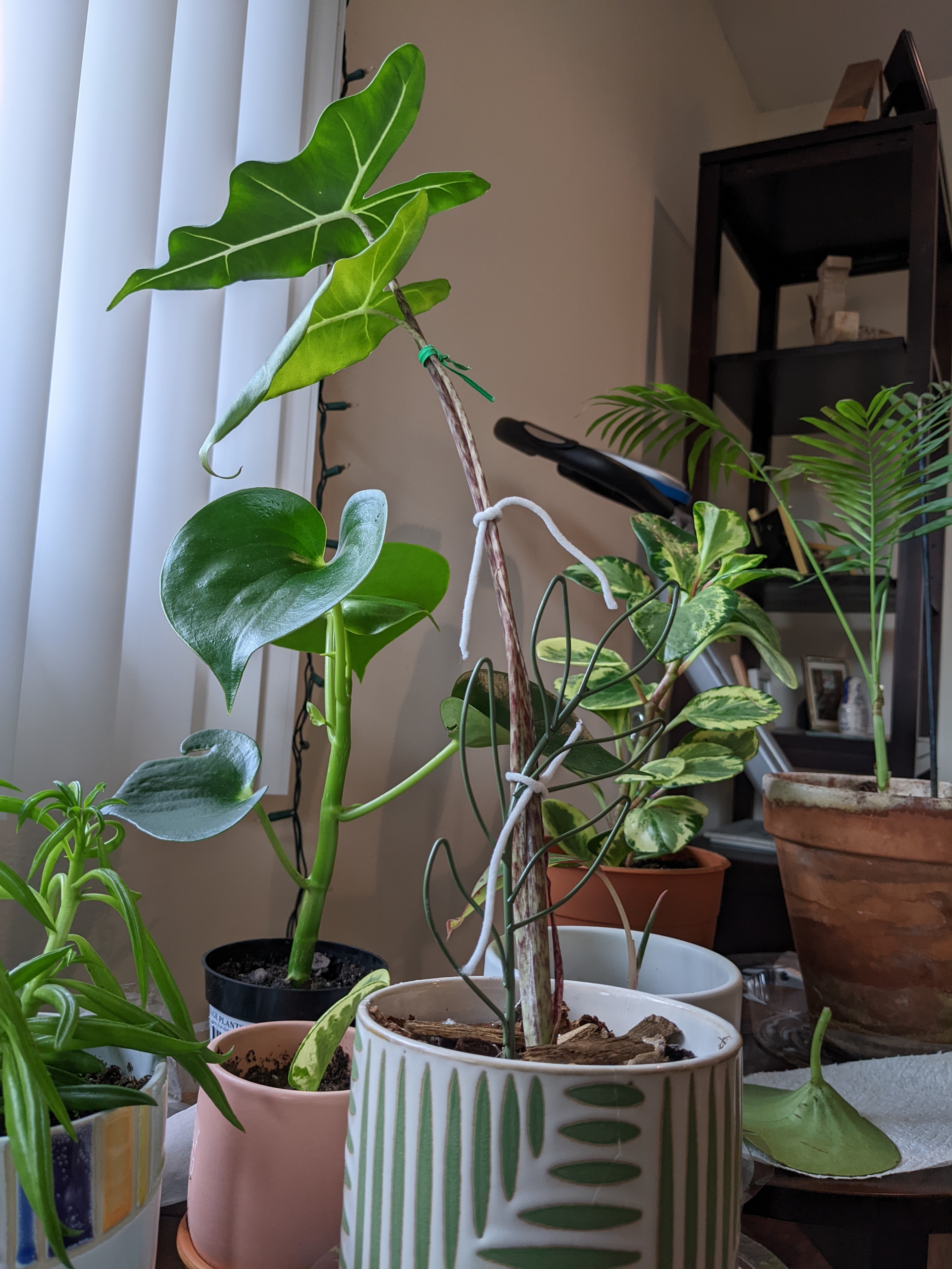 Photo from the post