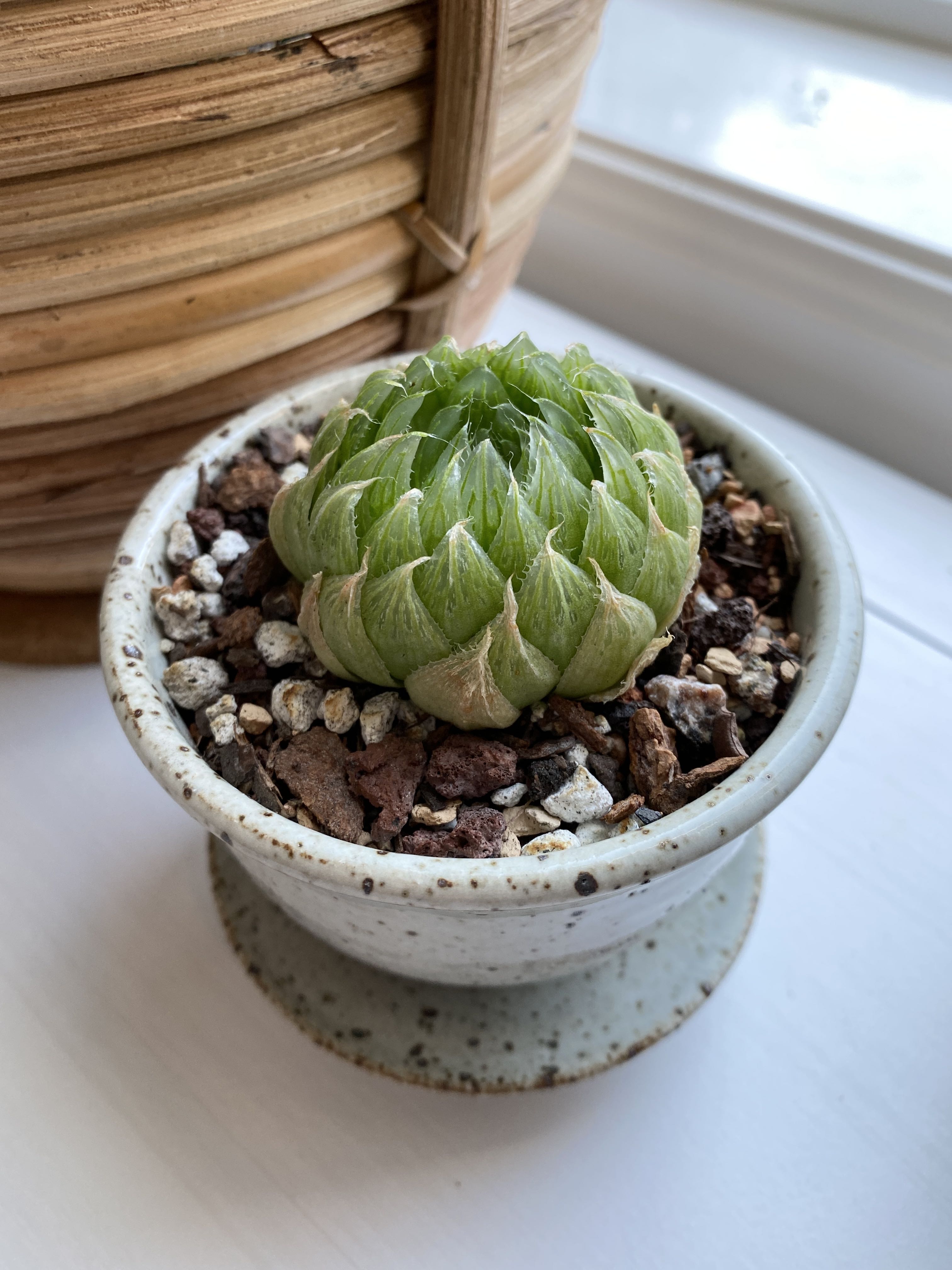 Photo from the post