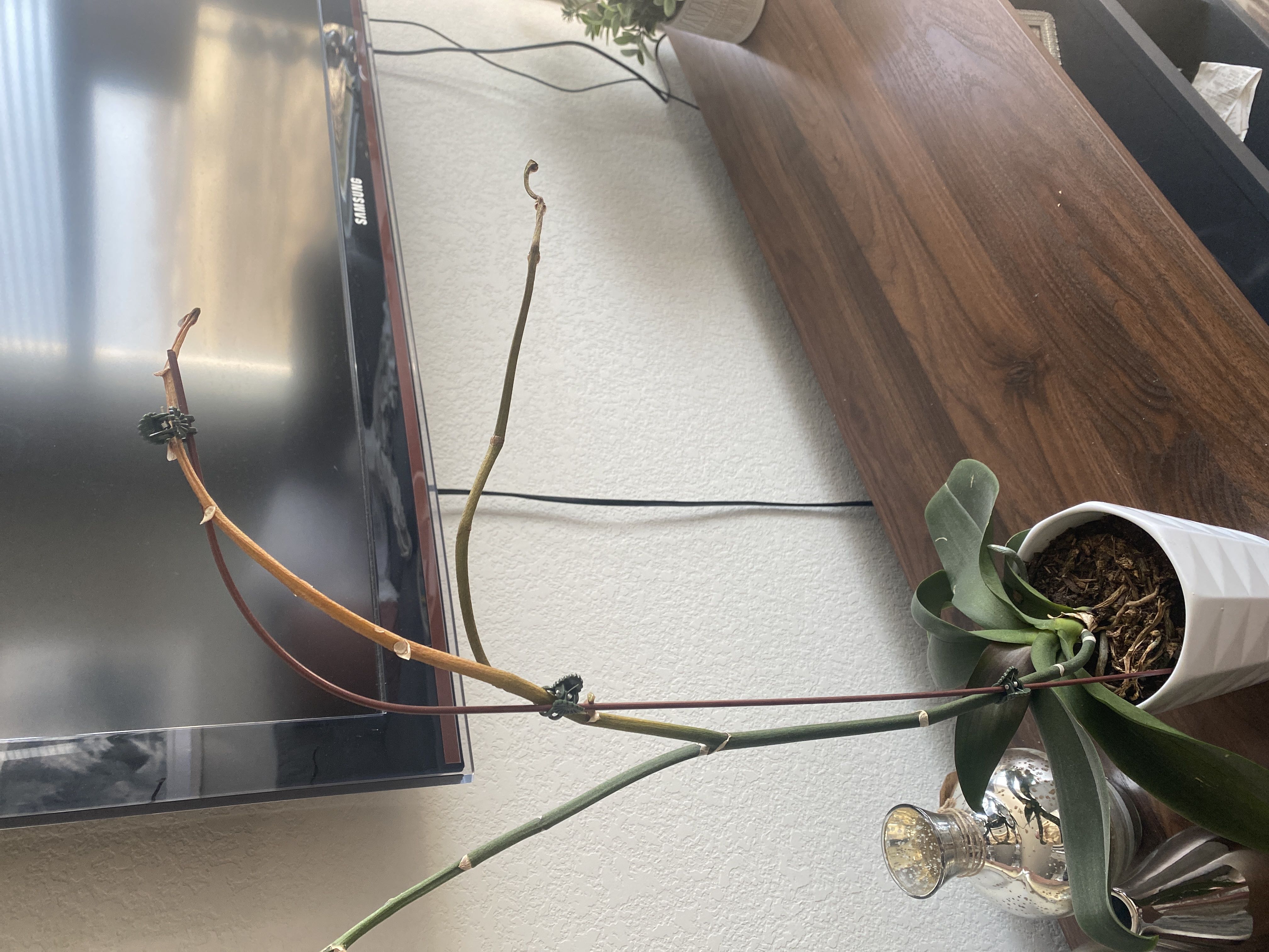 Photo from the post