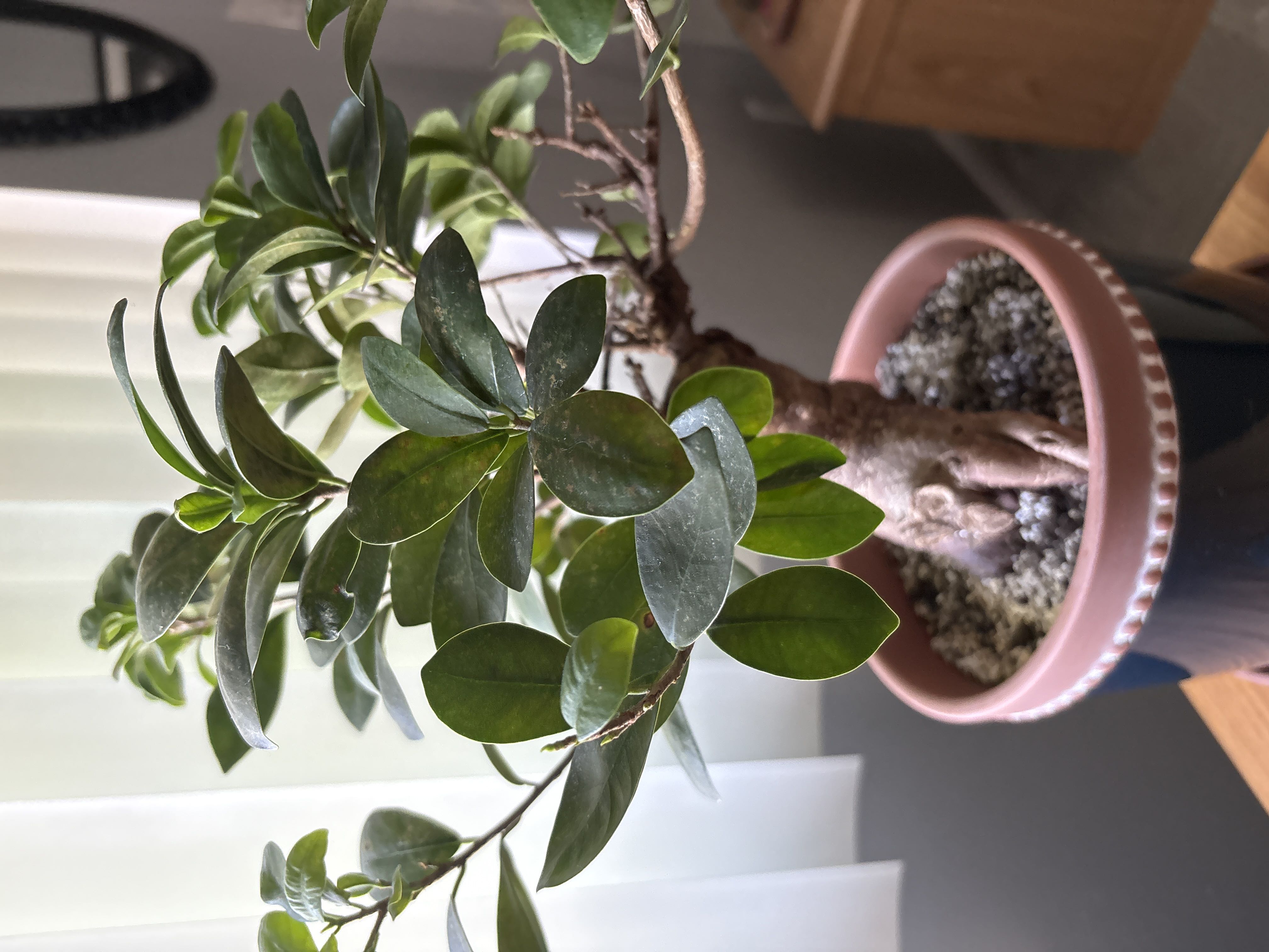 Photo from the post