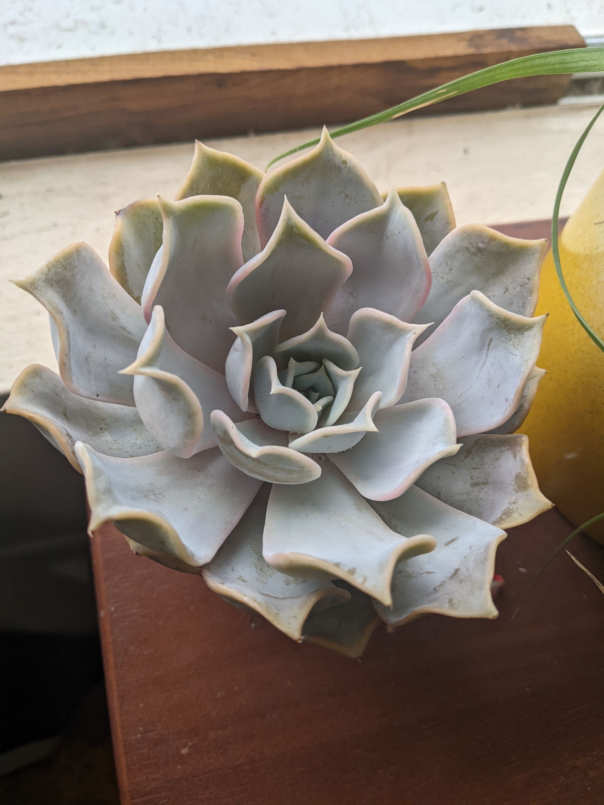 Photo from the post