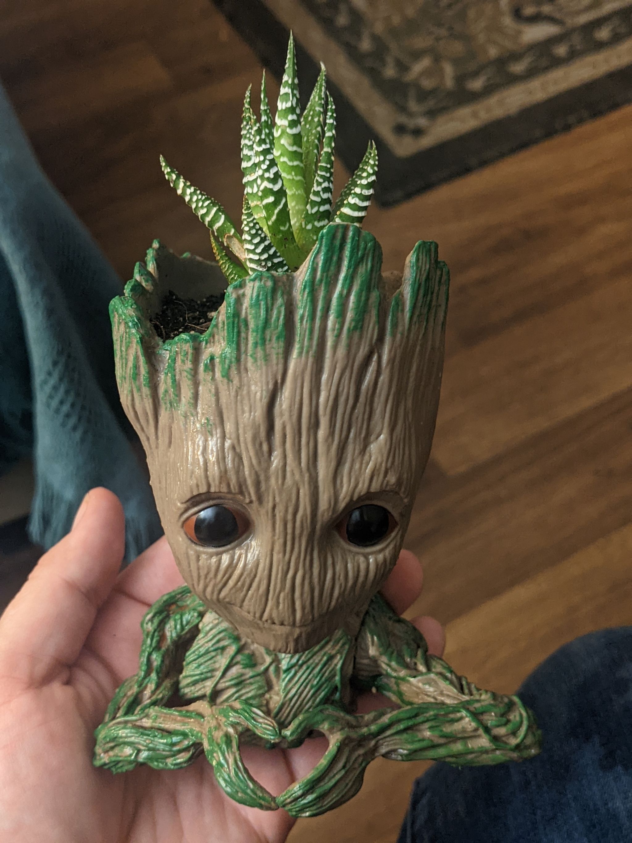 Photo from the post