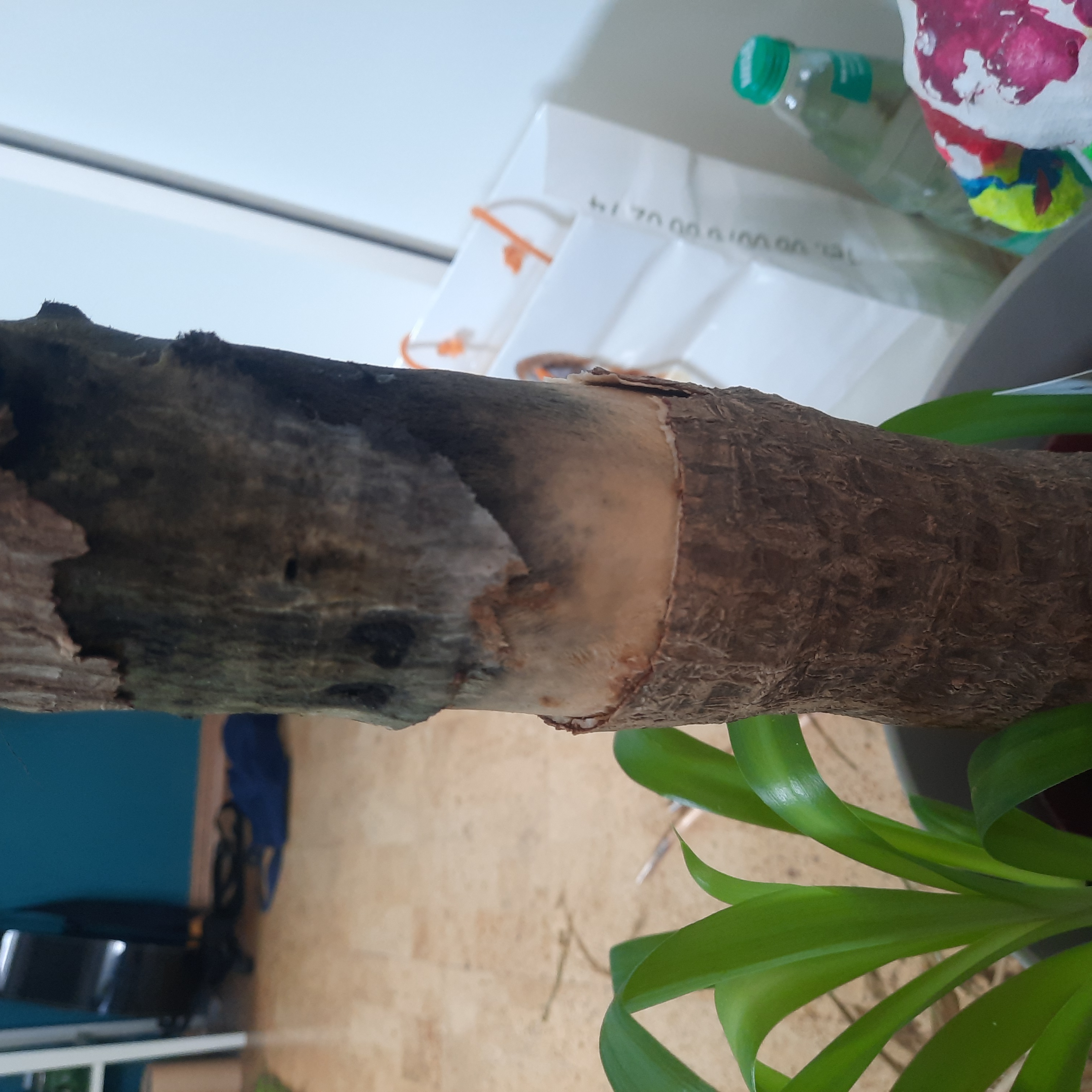 Photo from the post