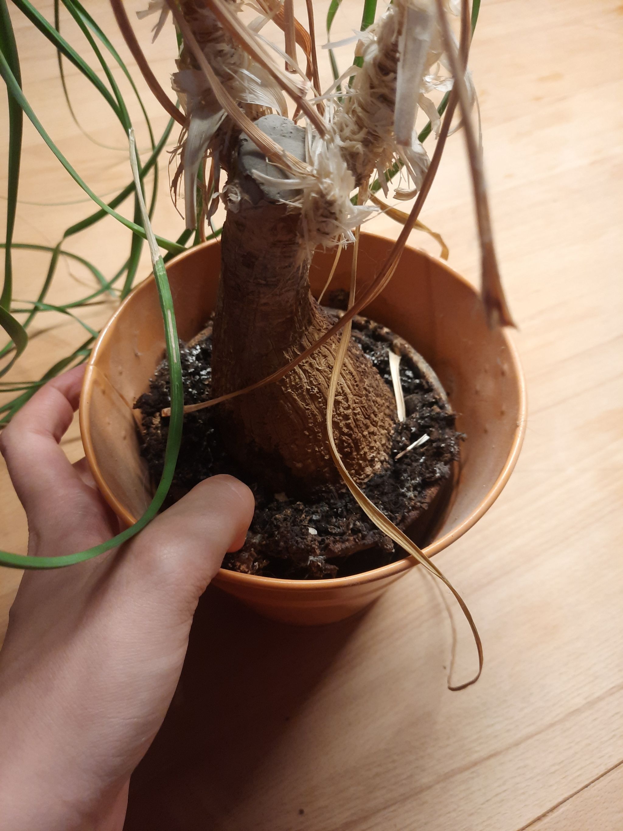 Photo from the post
