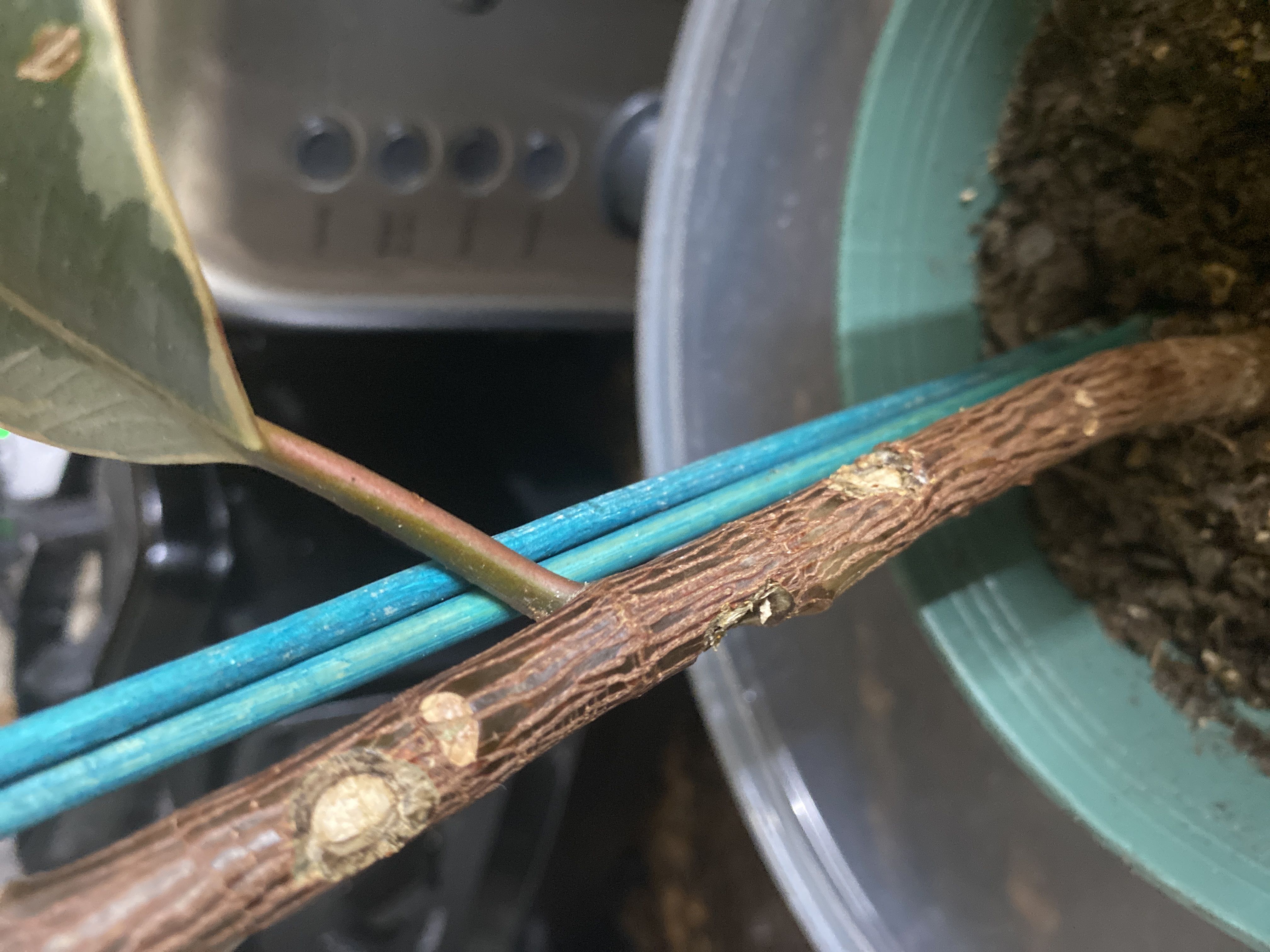 Photo from the post