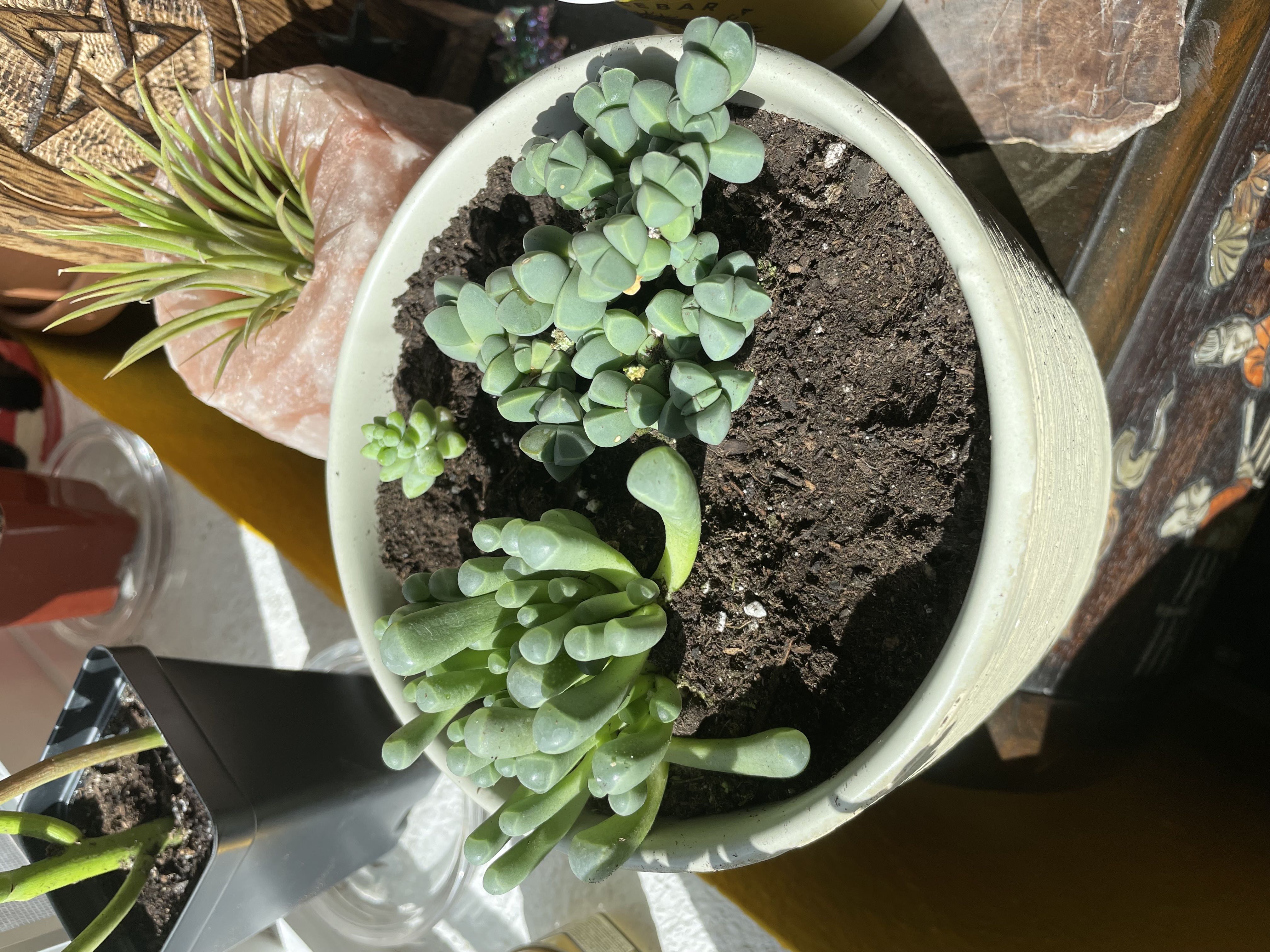 Photo from the post