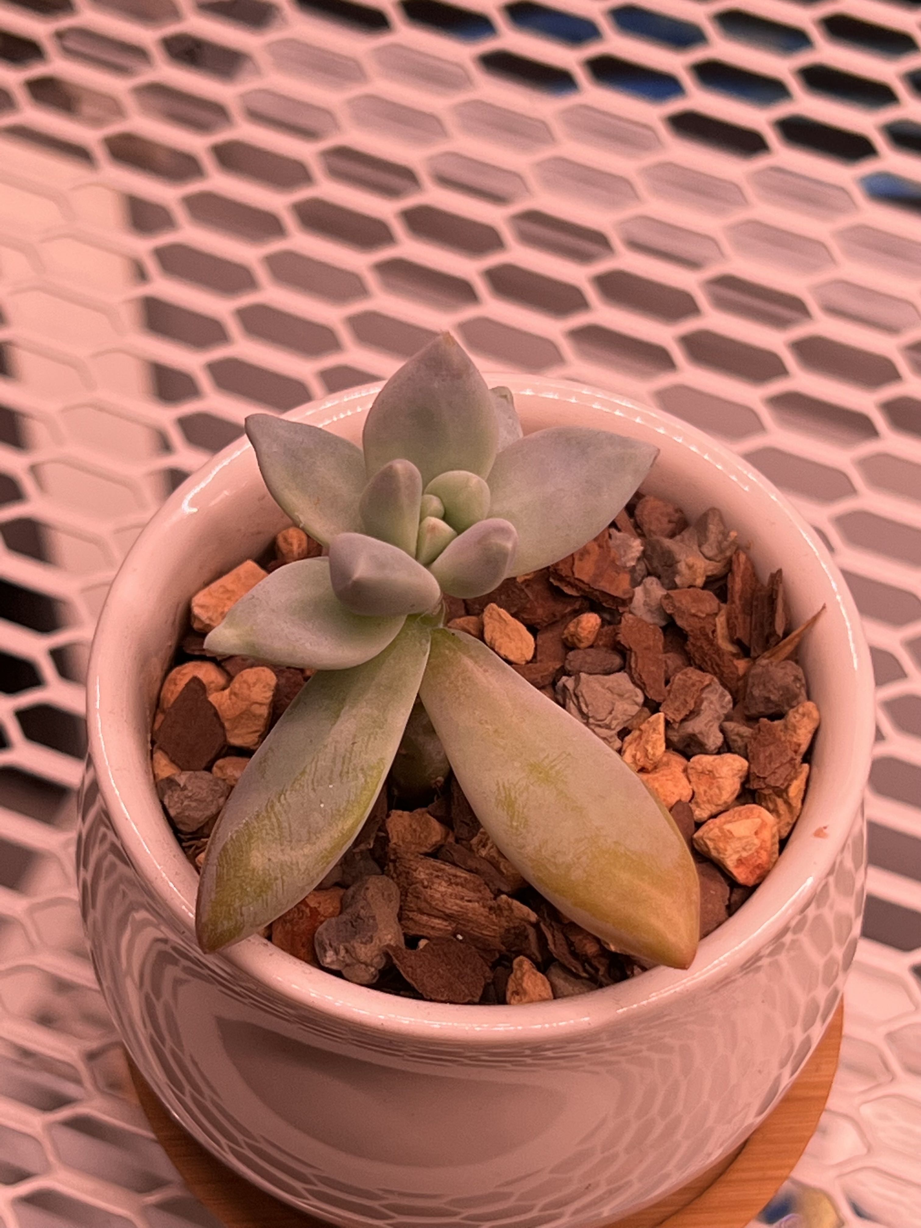 Photo from the post