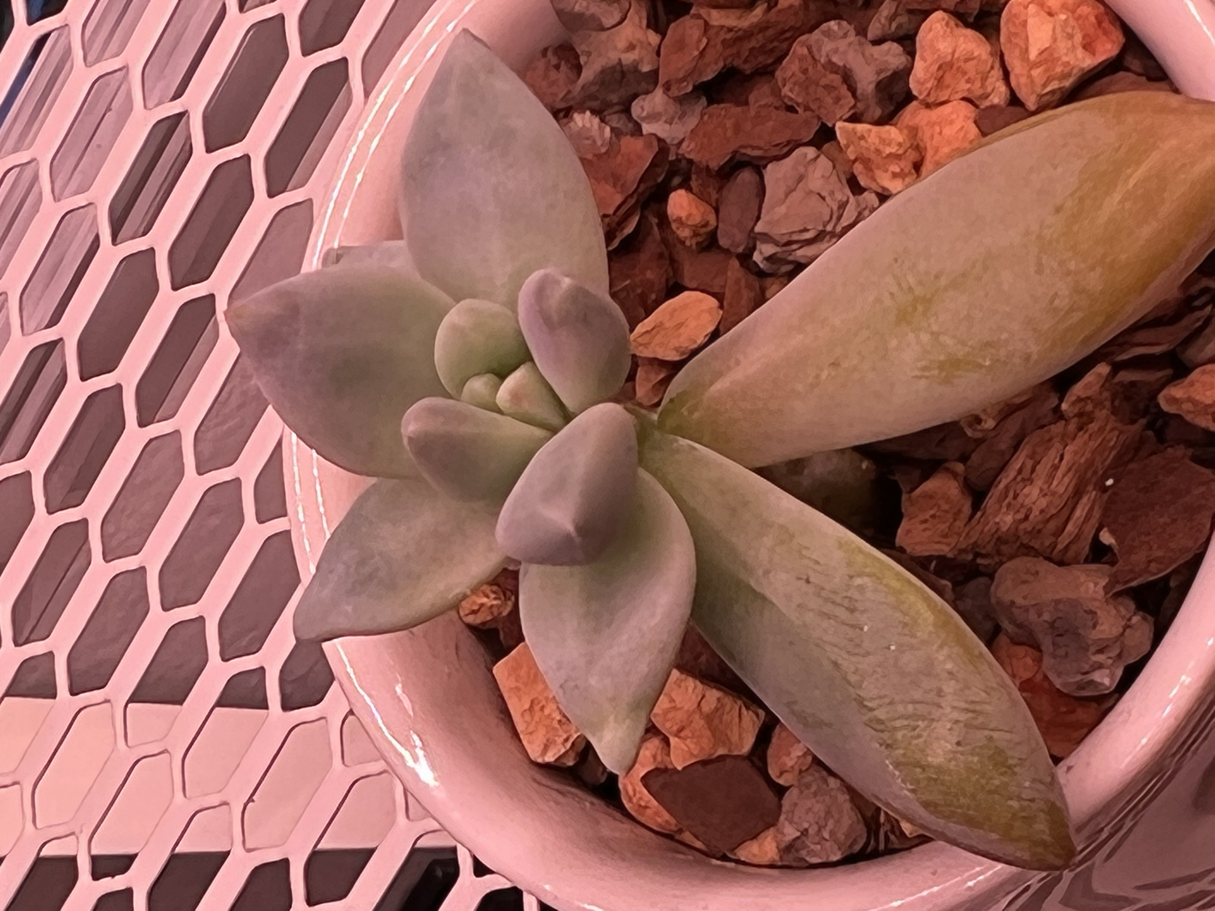 Photo from the post