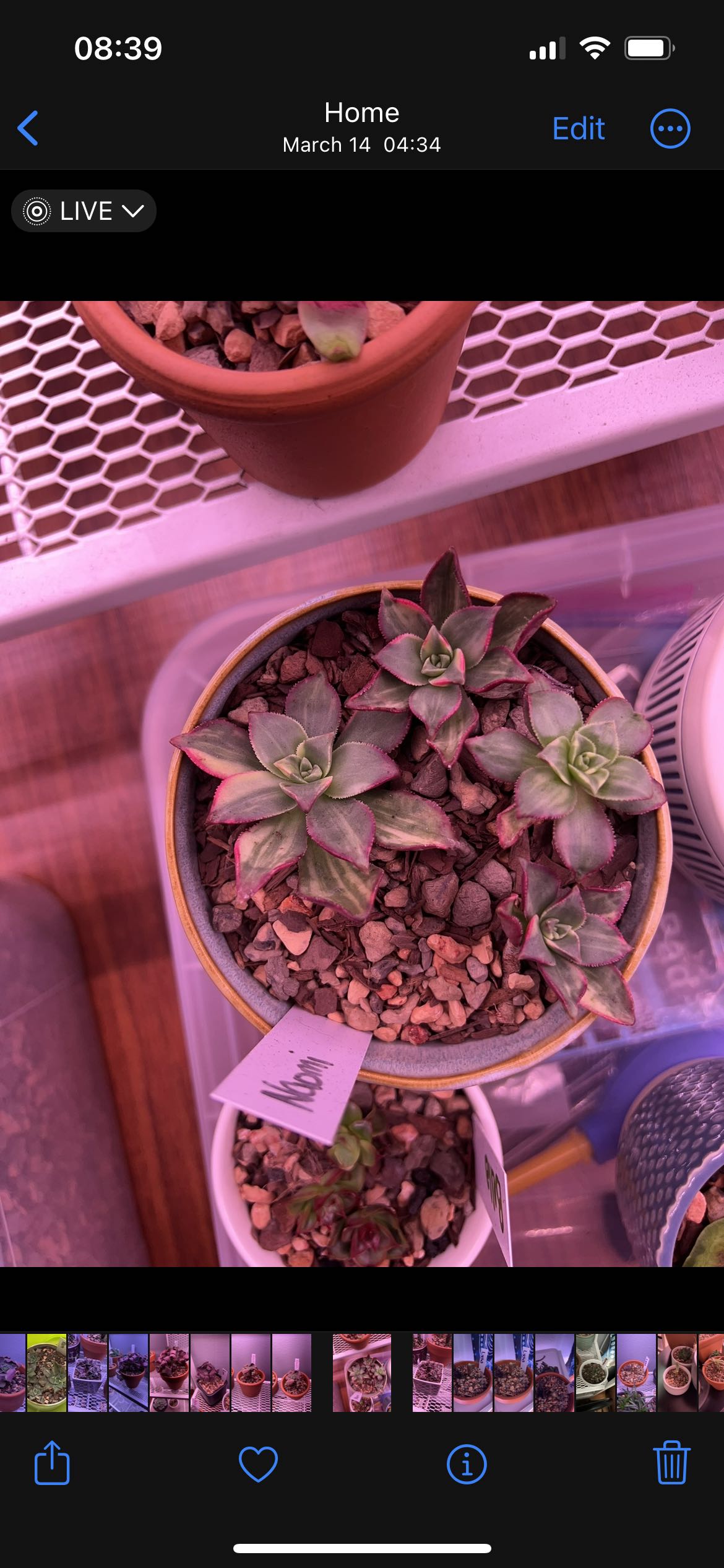 Photo from the post