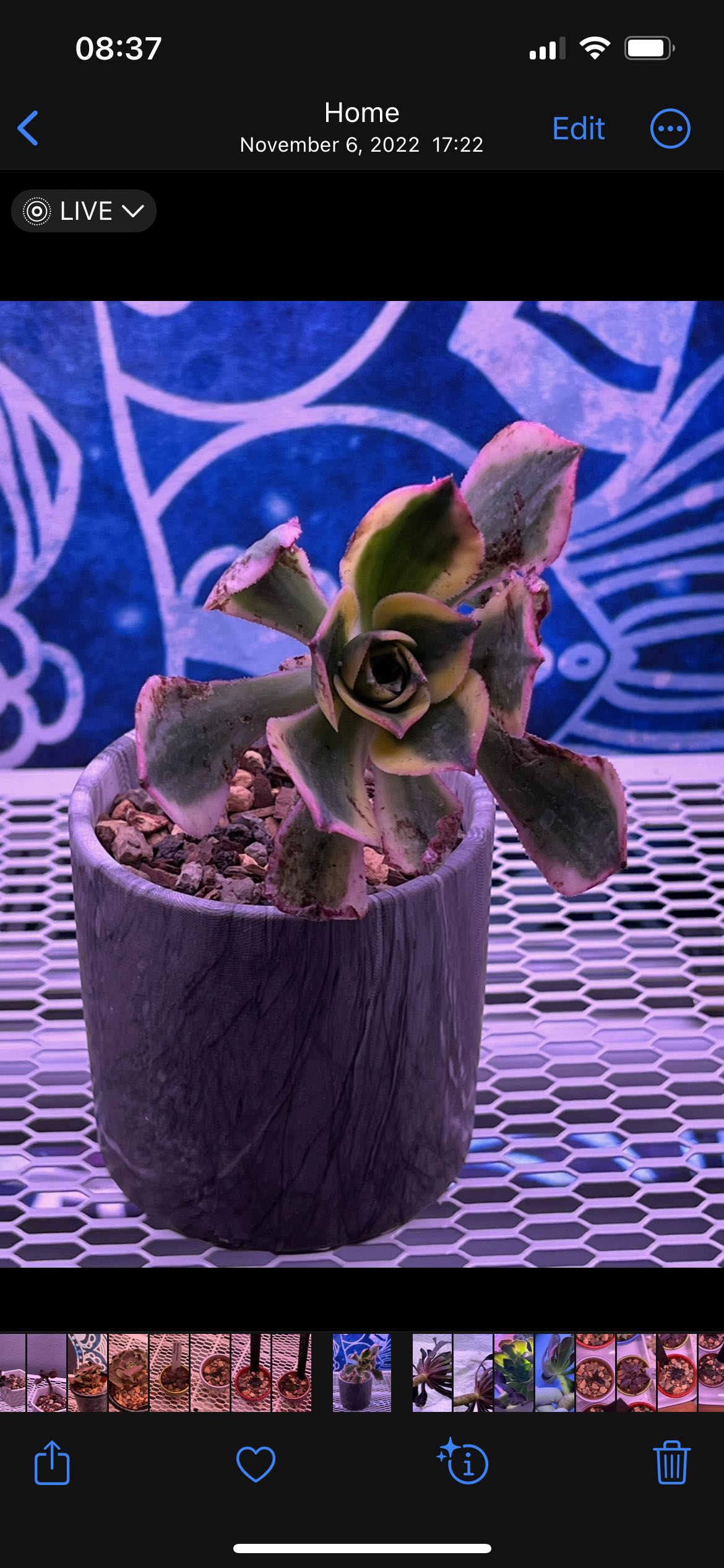 Photo from the post
