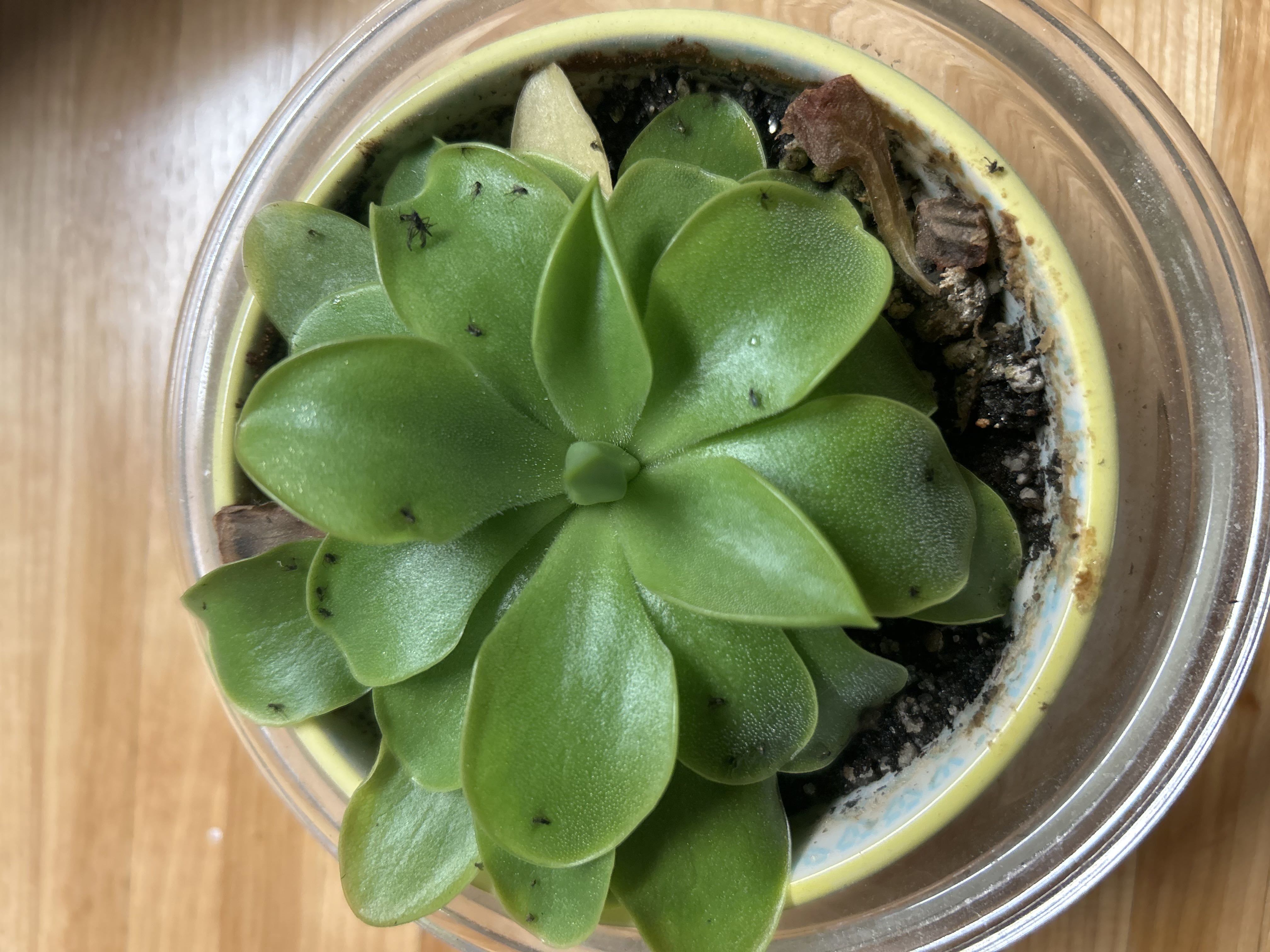 Photo from the post