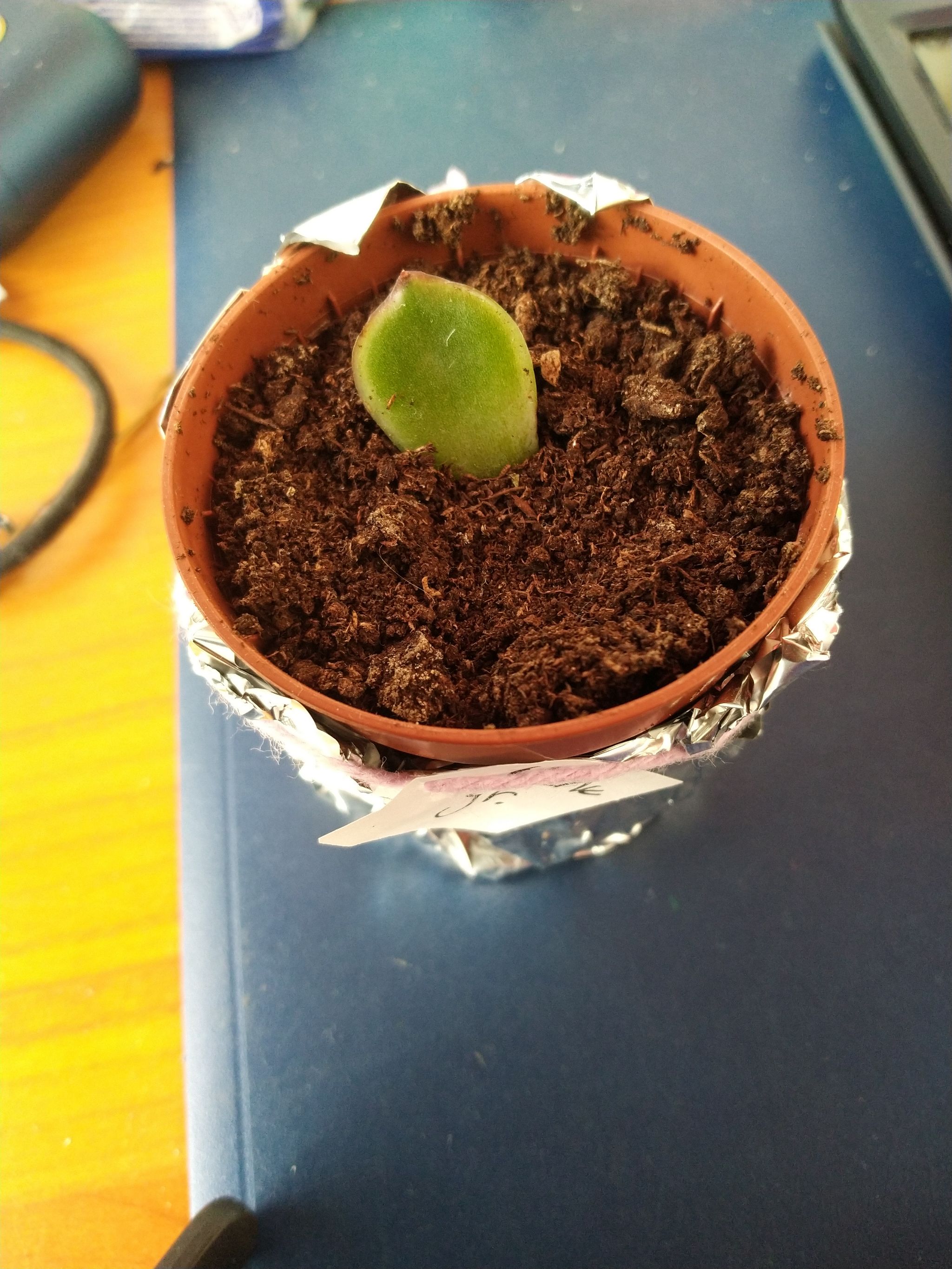 Photo from the post