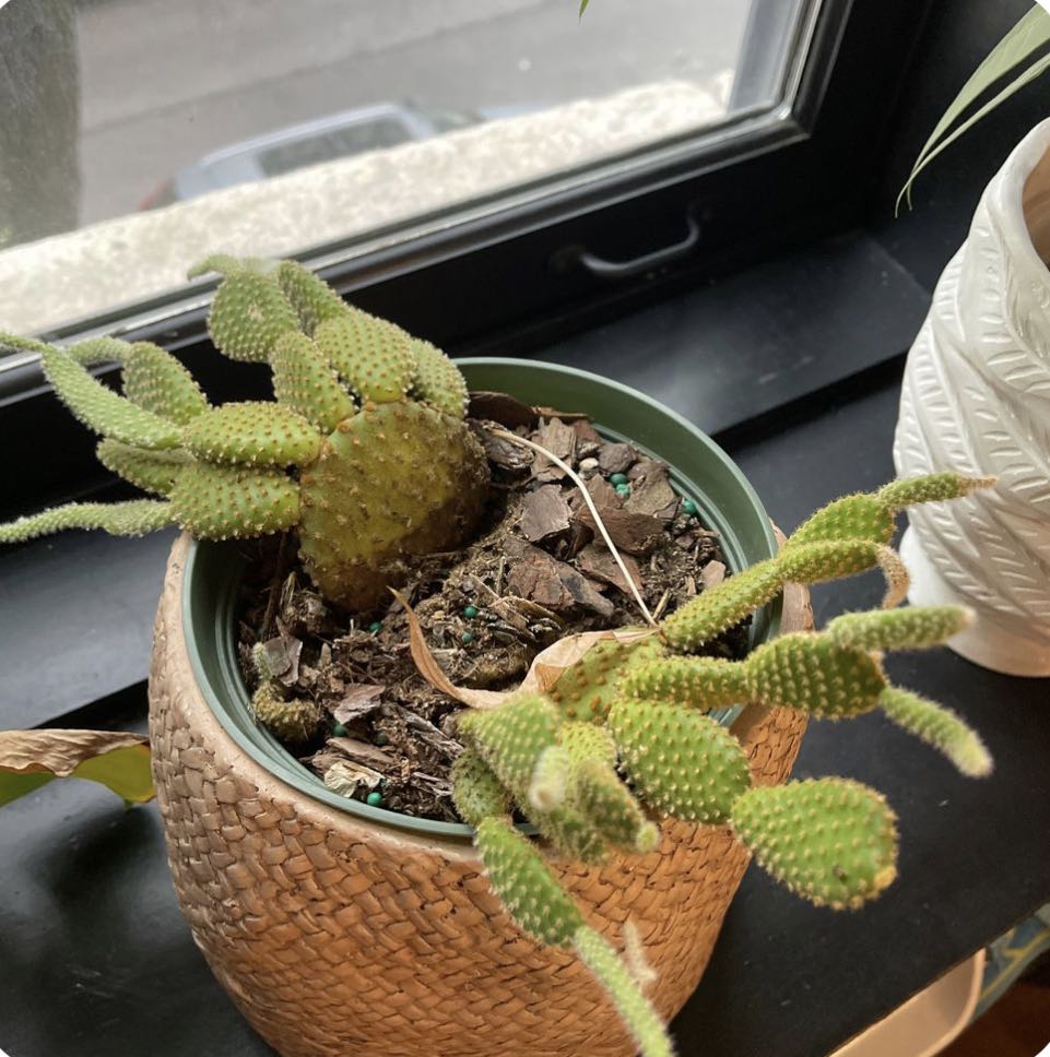 Photo from the post