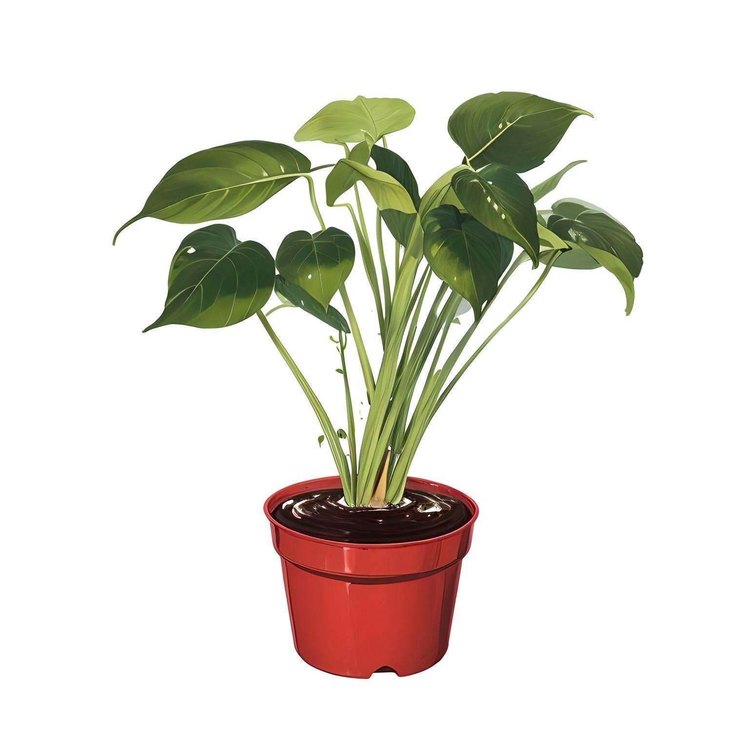 alex user_upload image