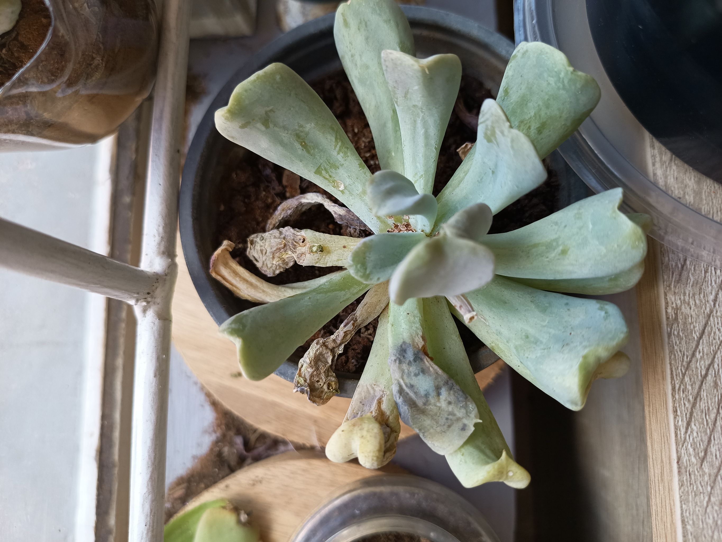 Photo from the post