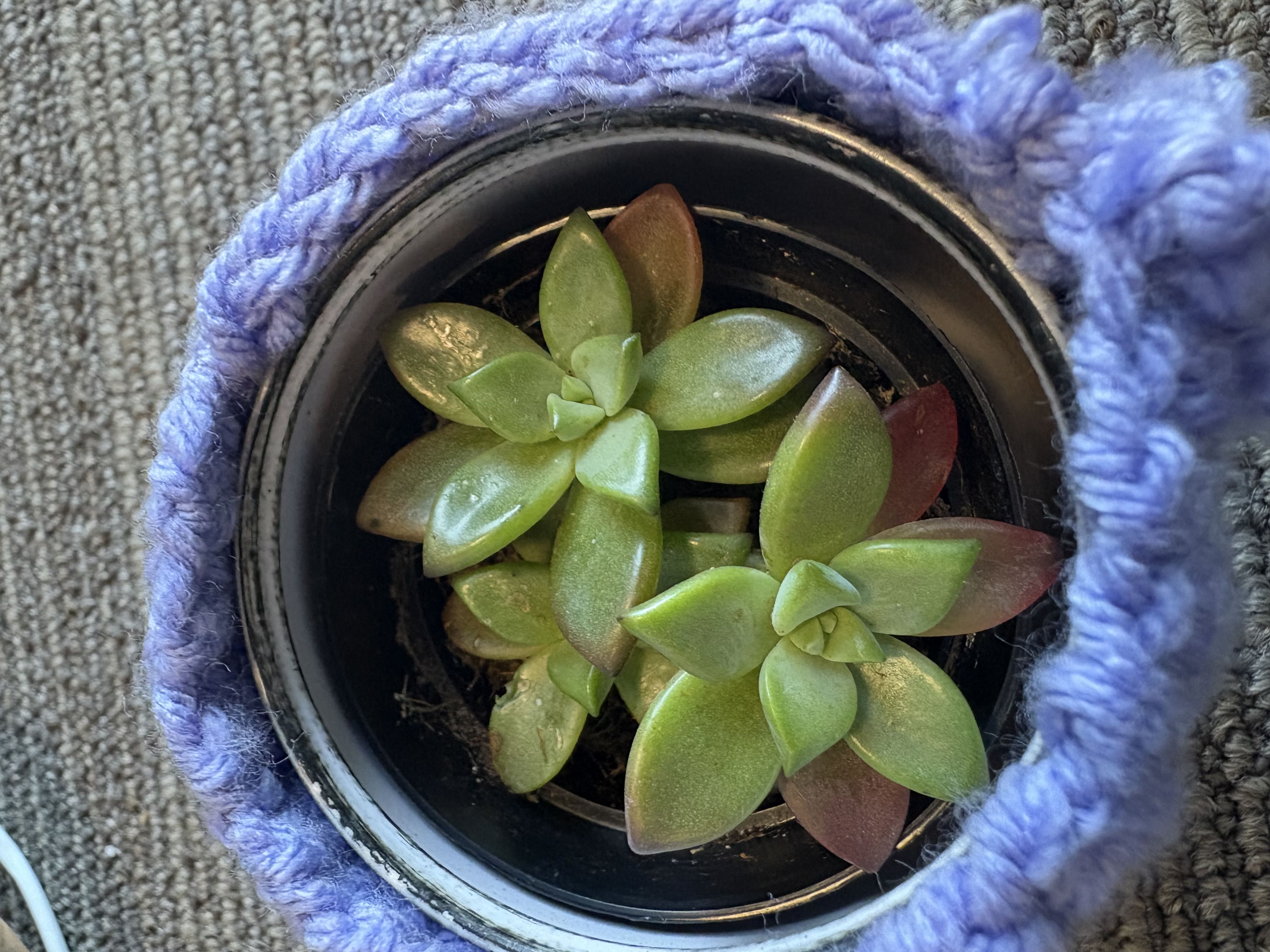 Photo from the post