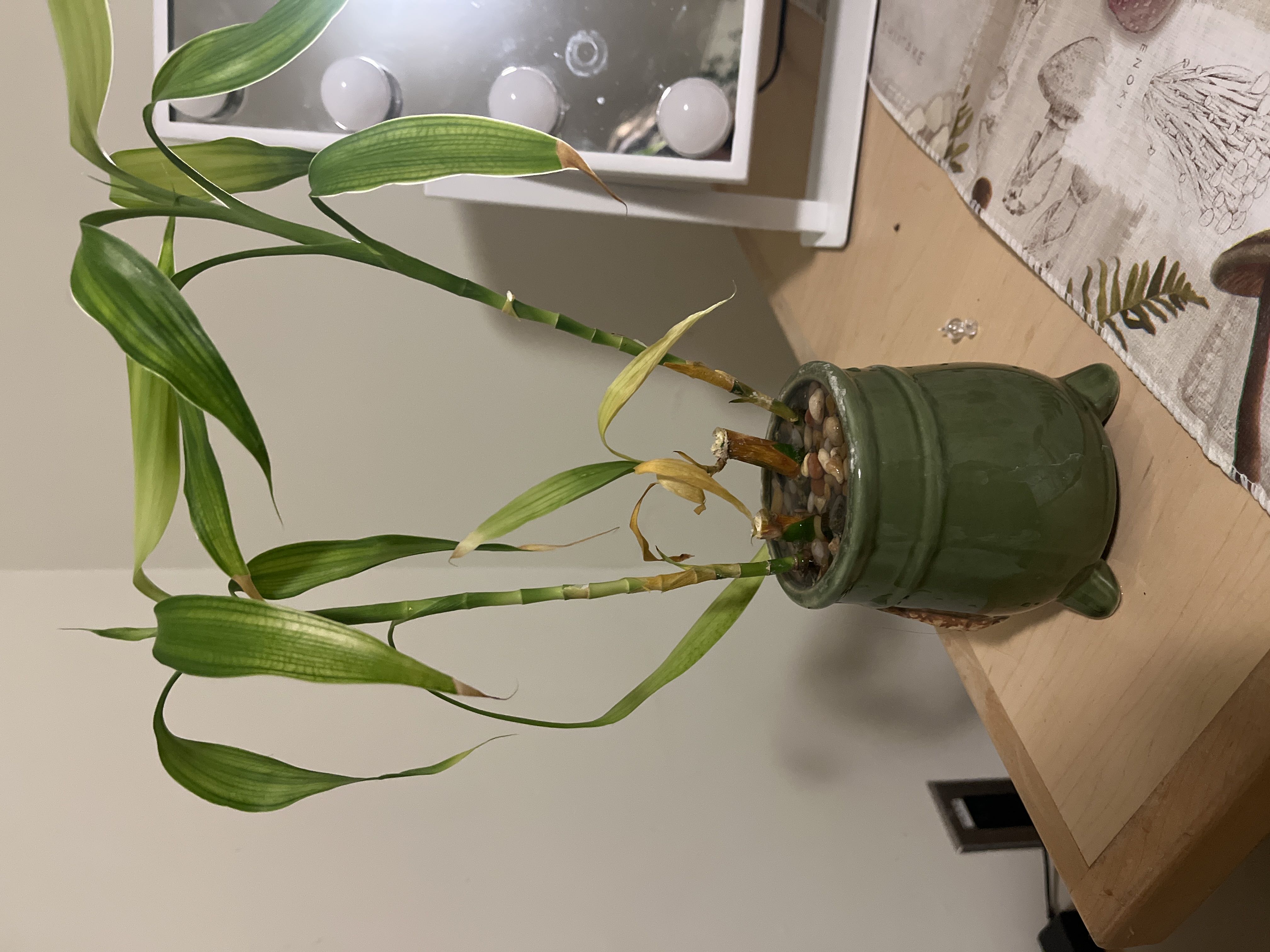 Photo from the post