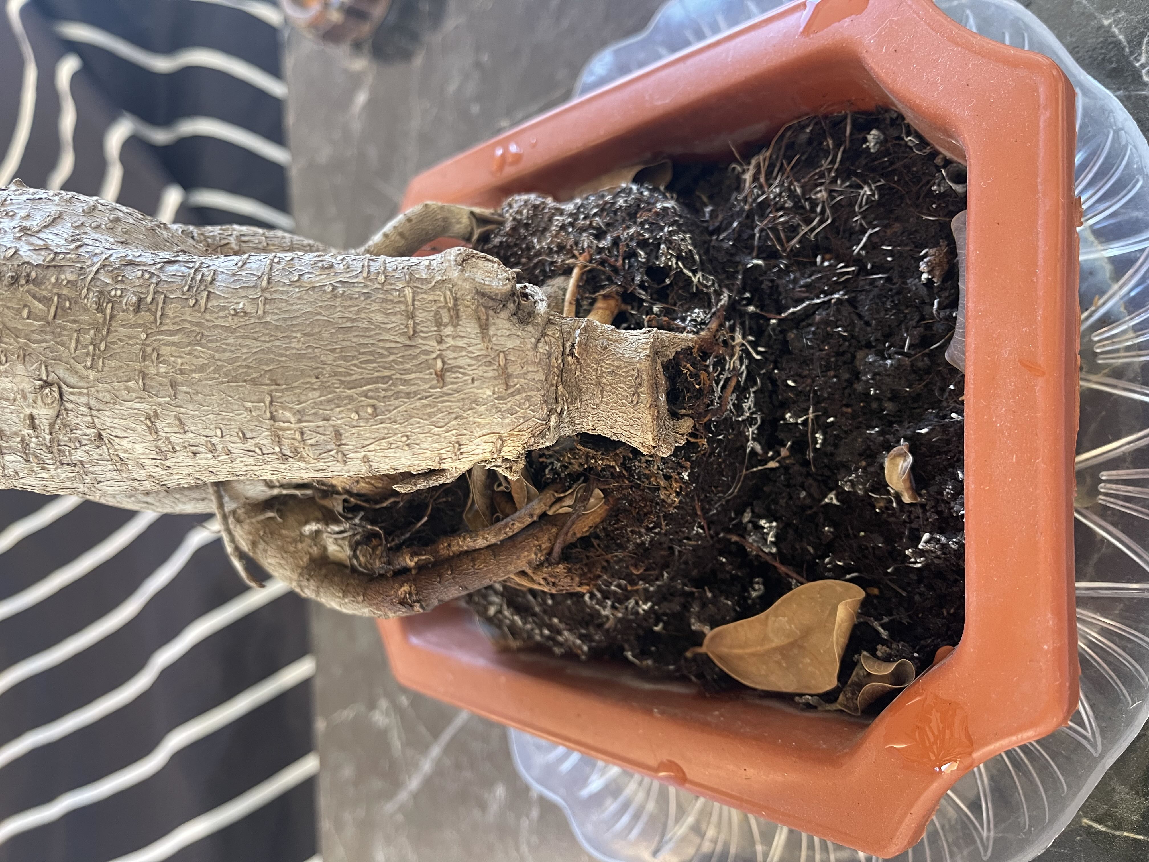Photo from the post