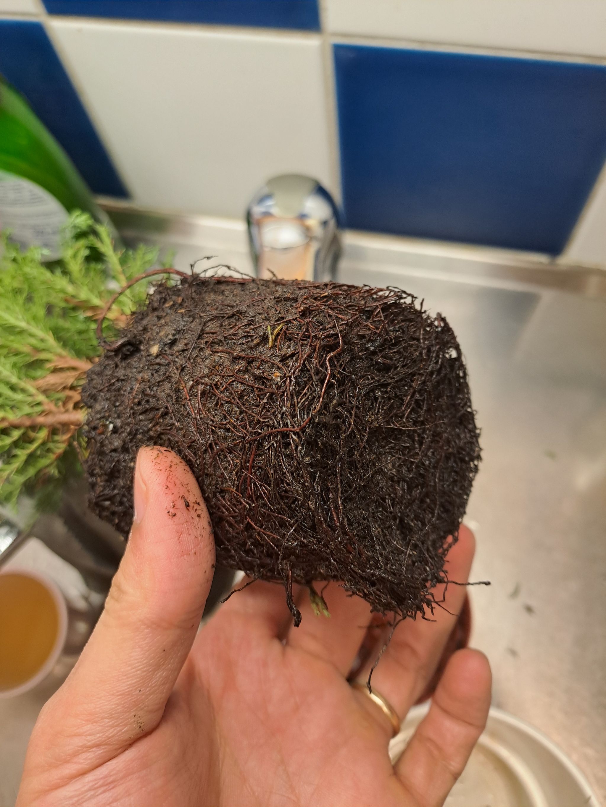Photo from the post