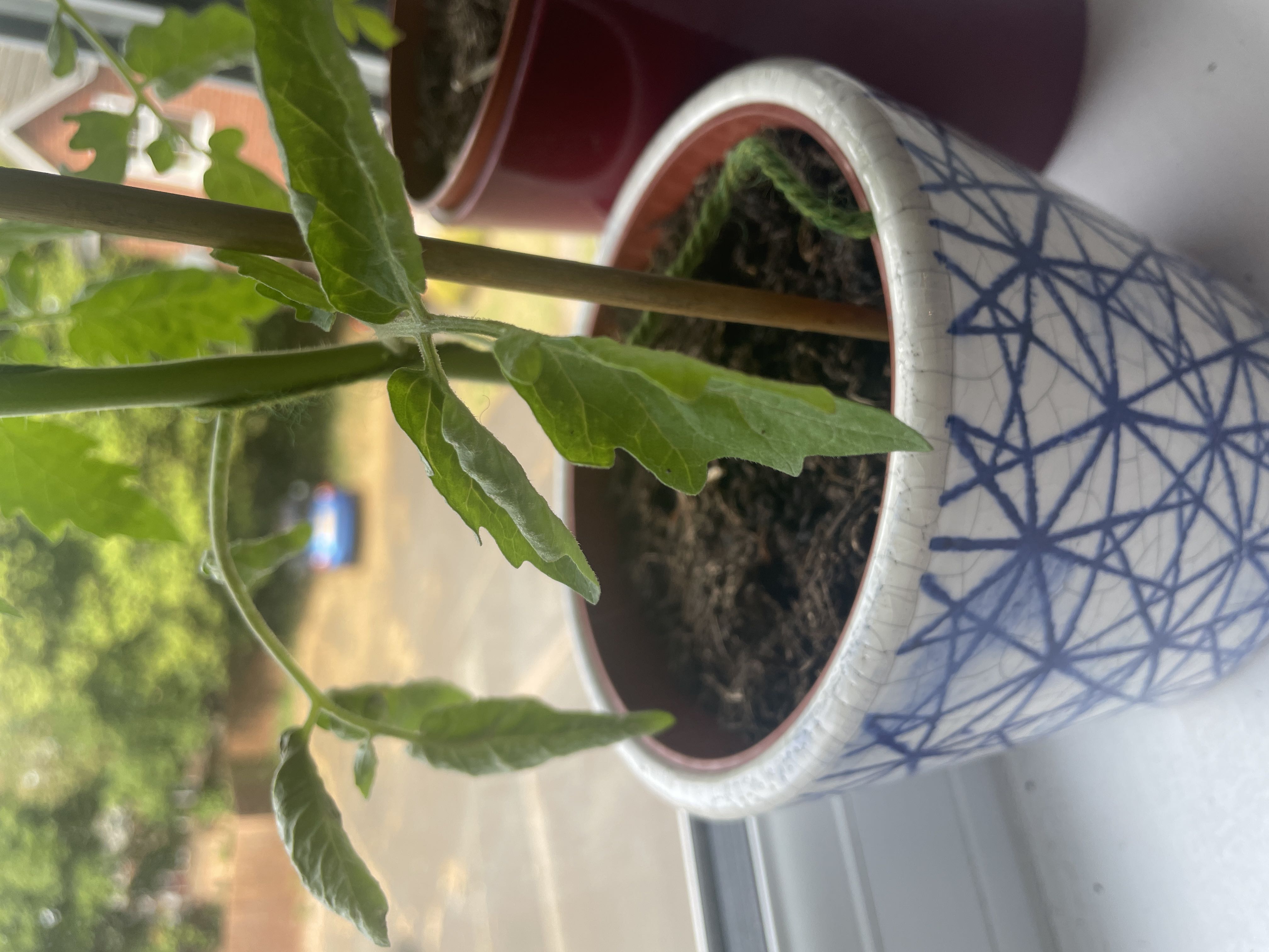Photo from the post