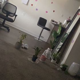 Photo of the plant species Casa Rosa Lily by @GladTigeraloe named Drake on Greg, the plant care app