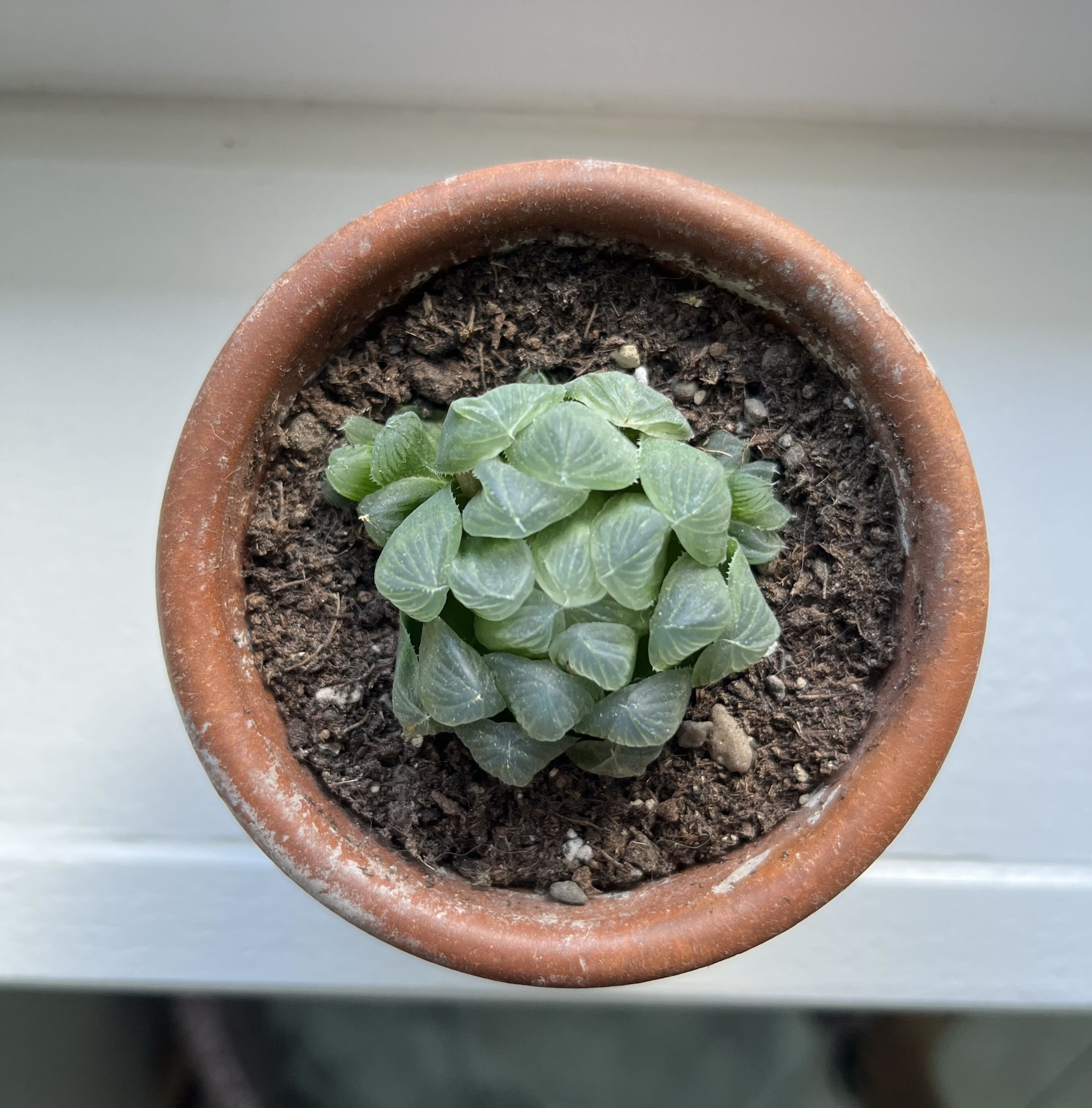 Photo from the post