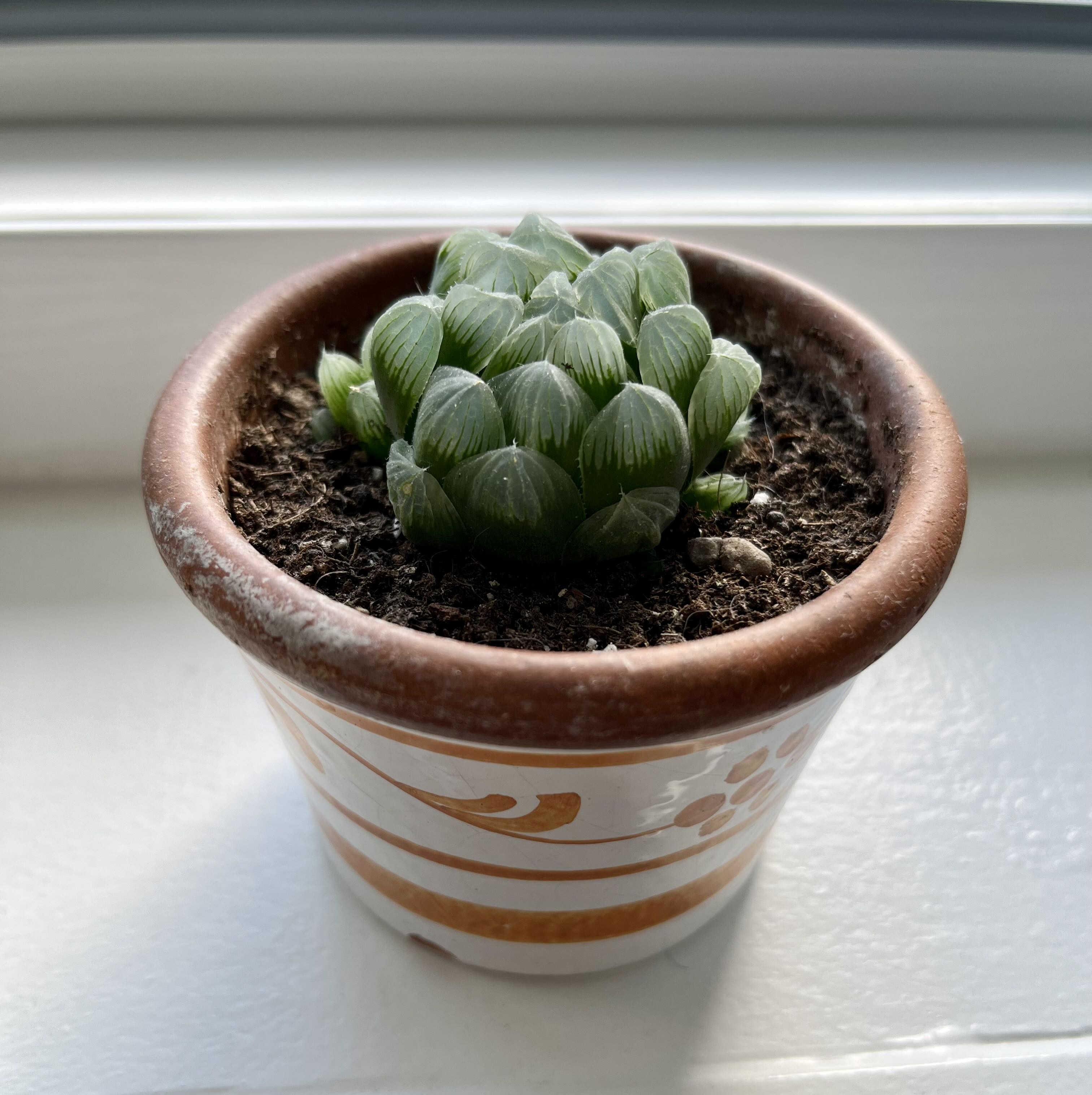 Photo from the post