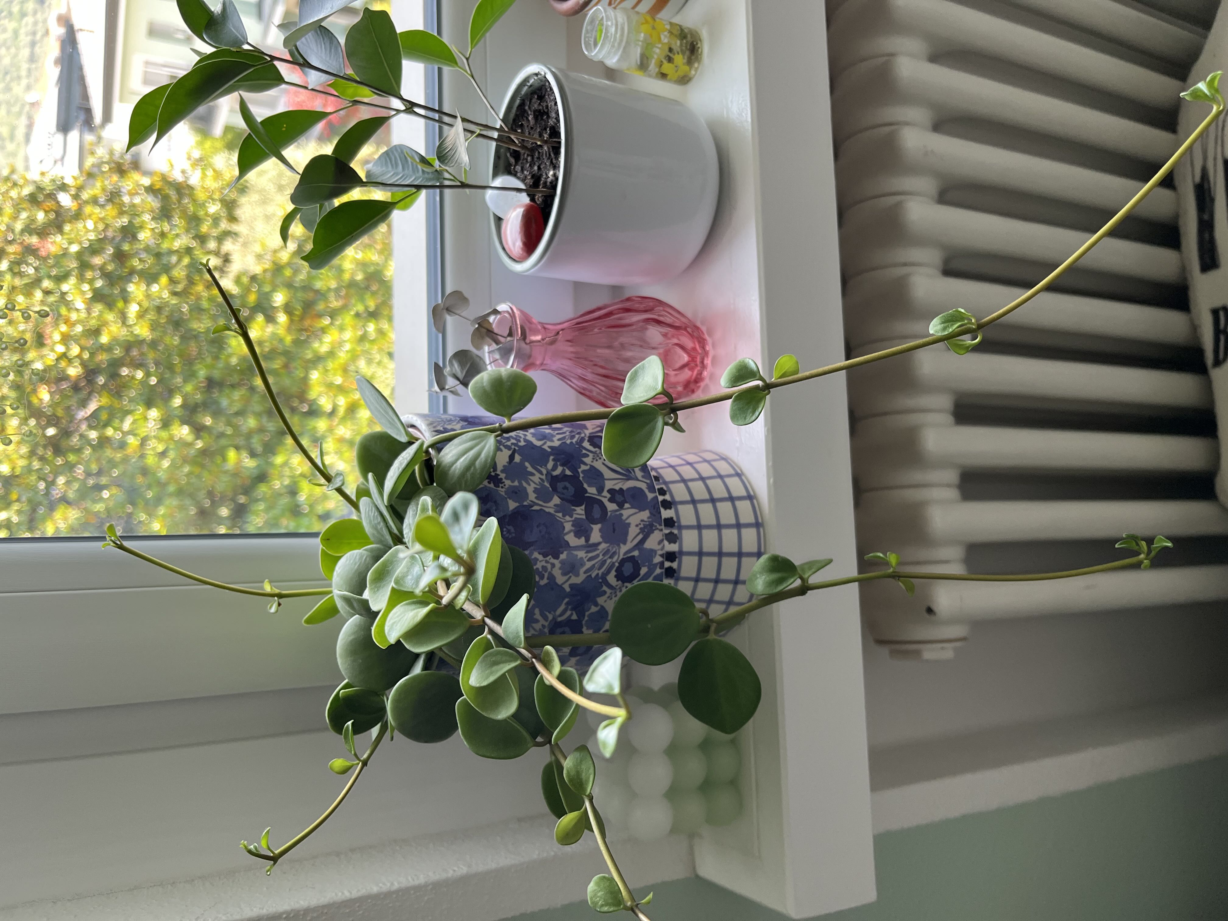 Photo from the post