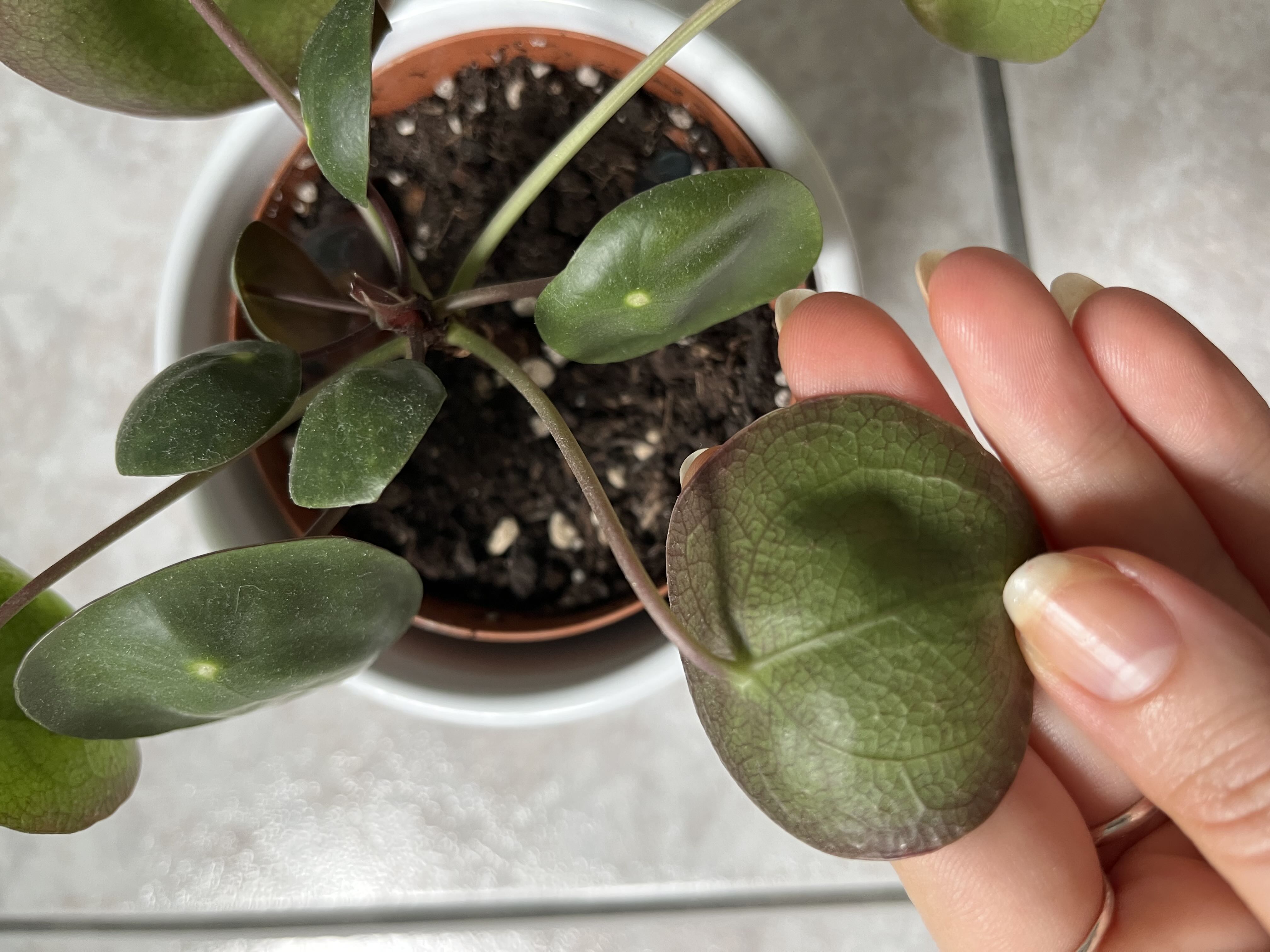Photo from the post