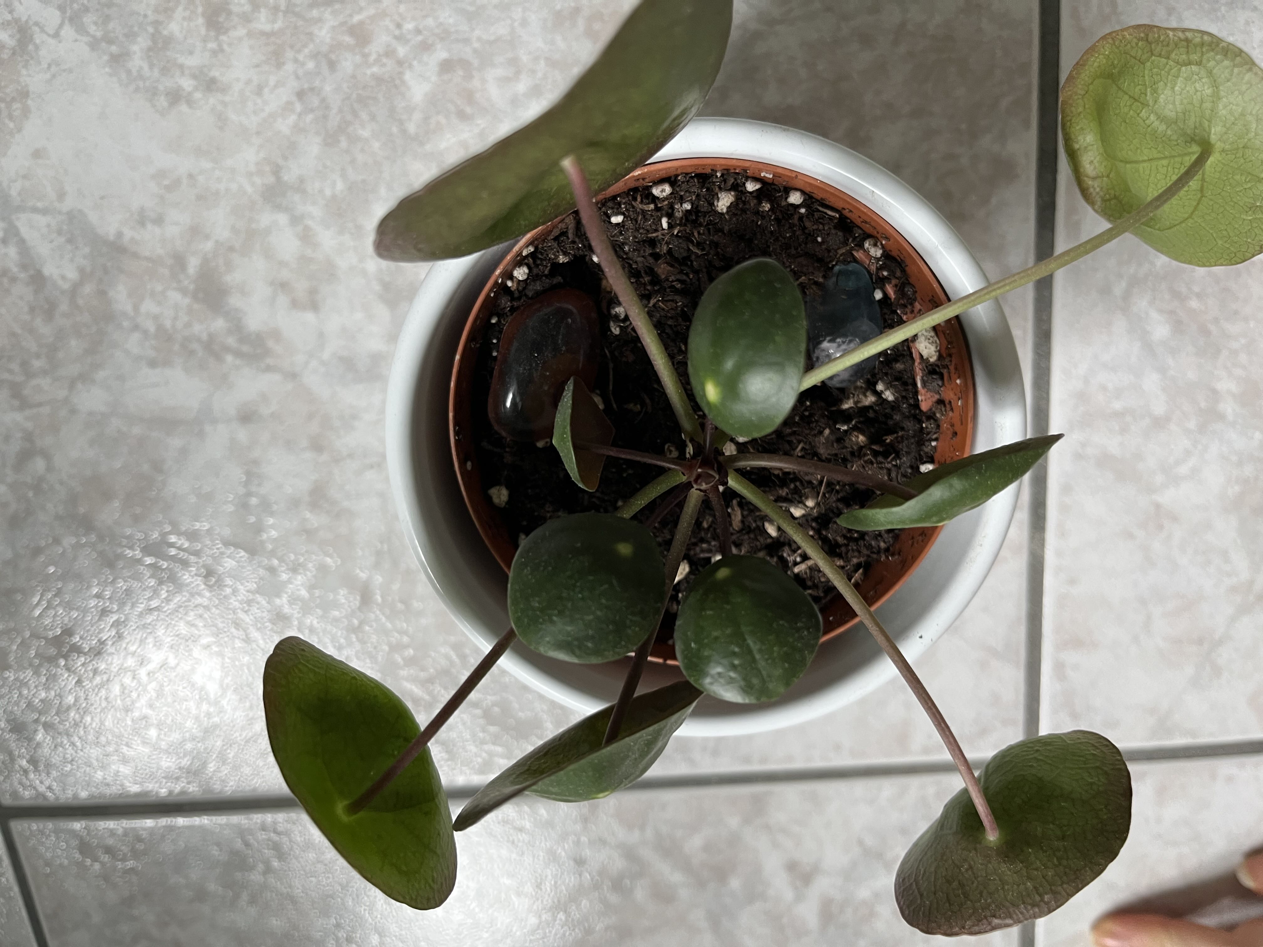 Photo from the post