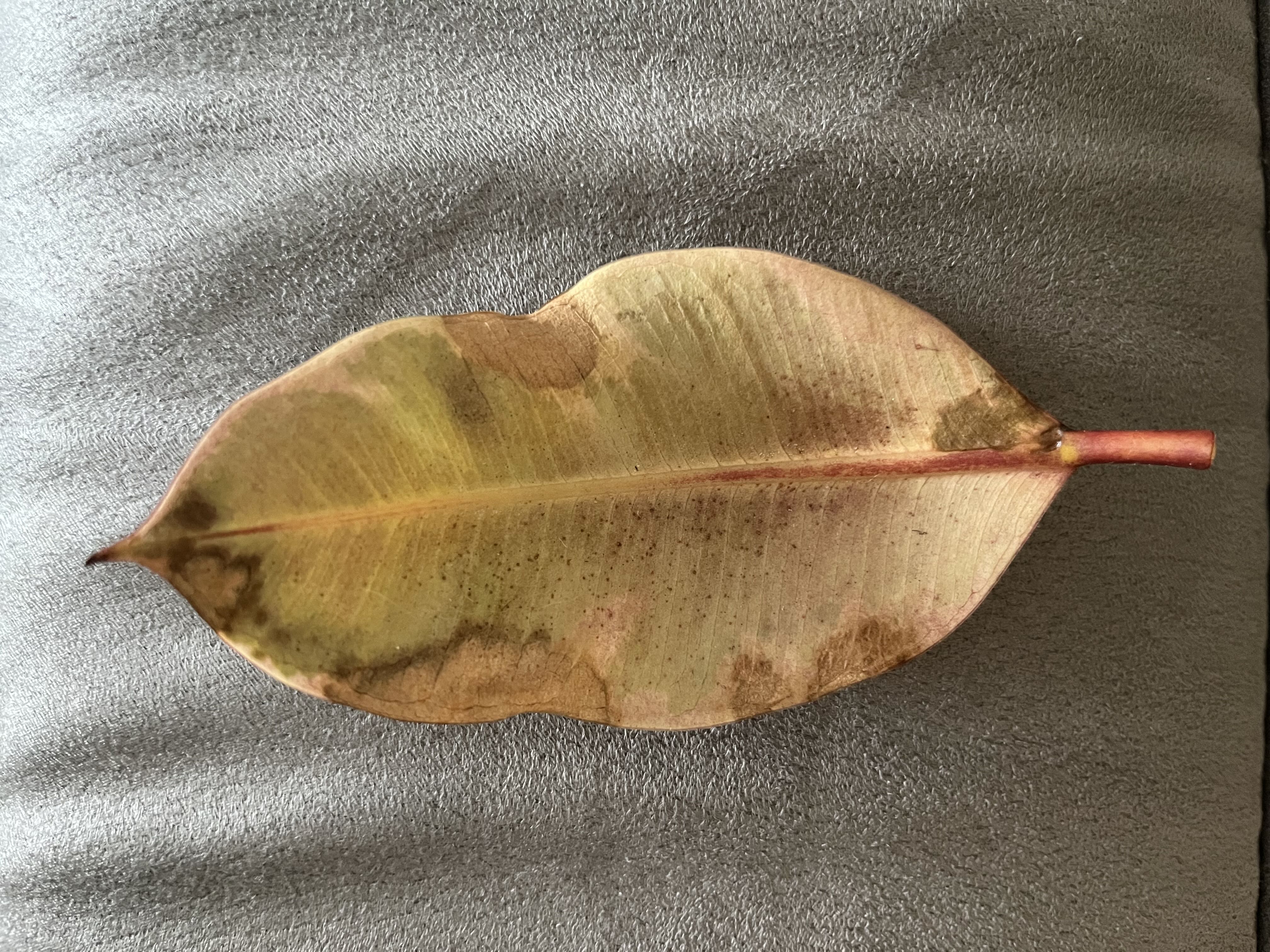 Photo from the post