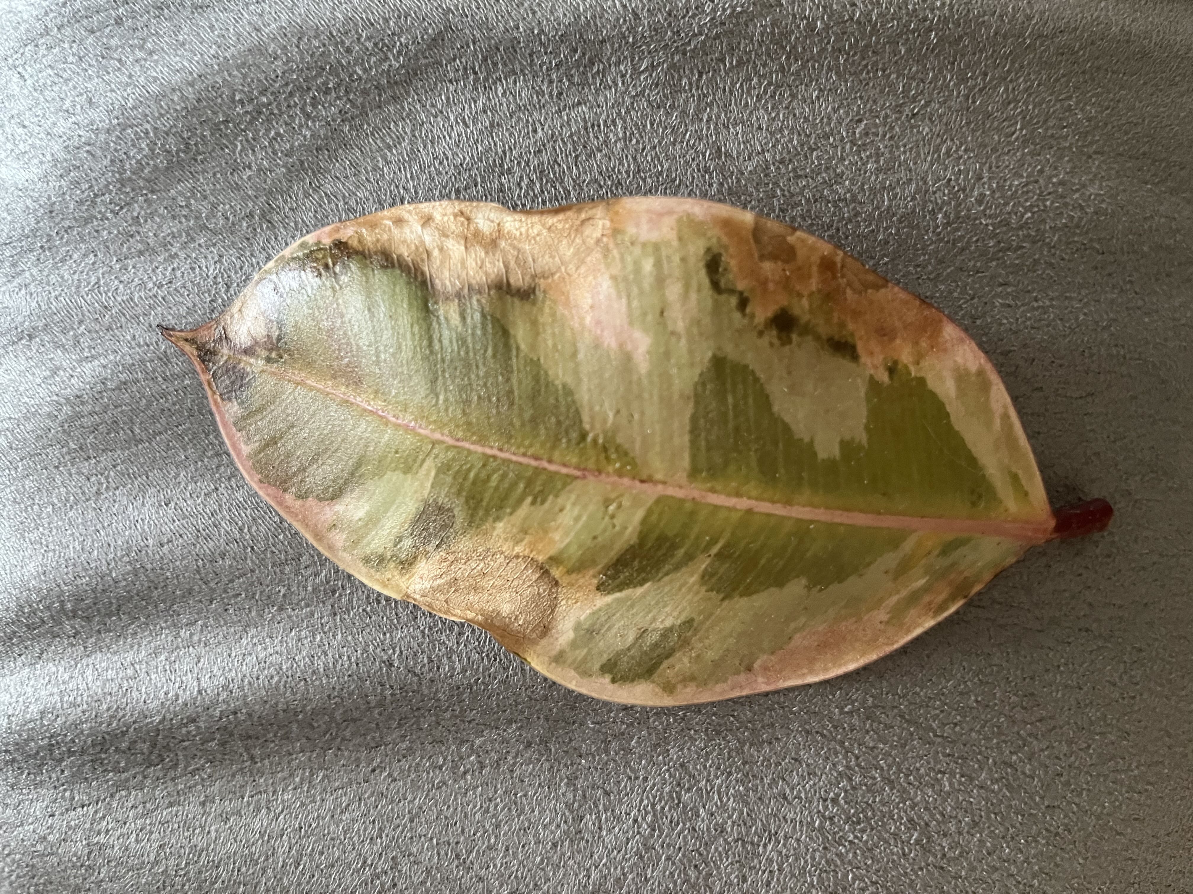 Photo from the post