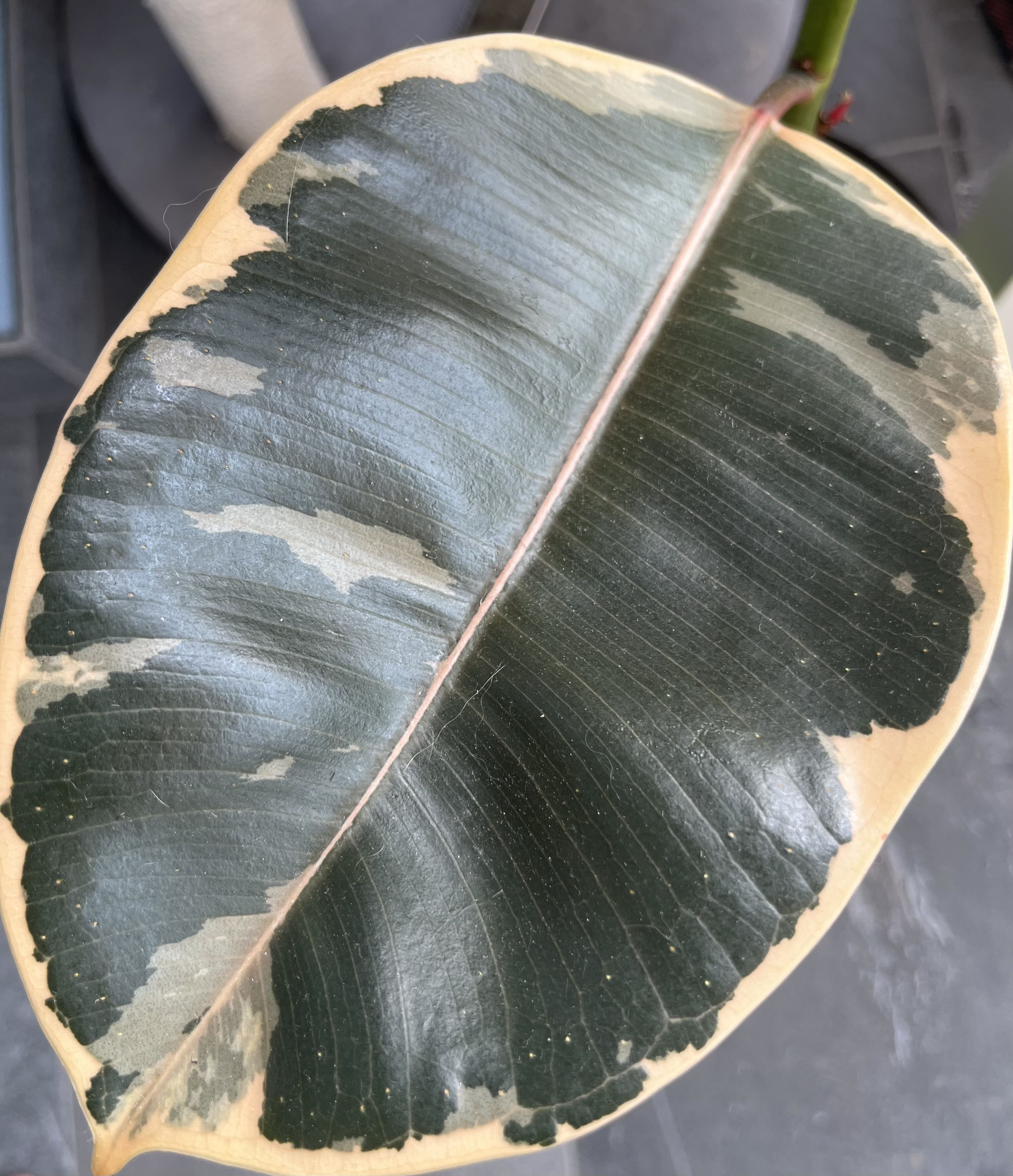 Photo from the post