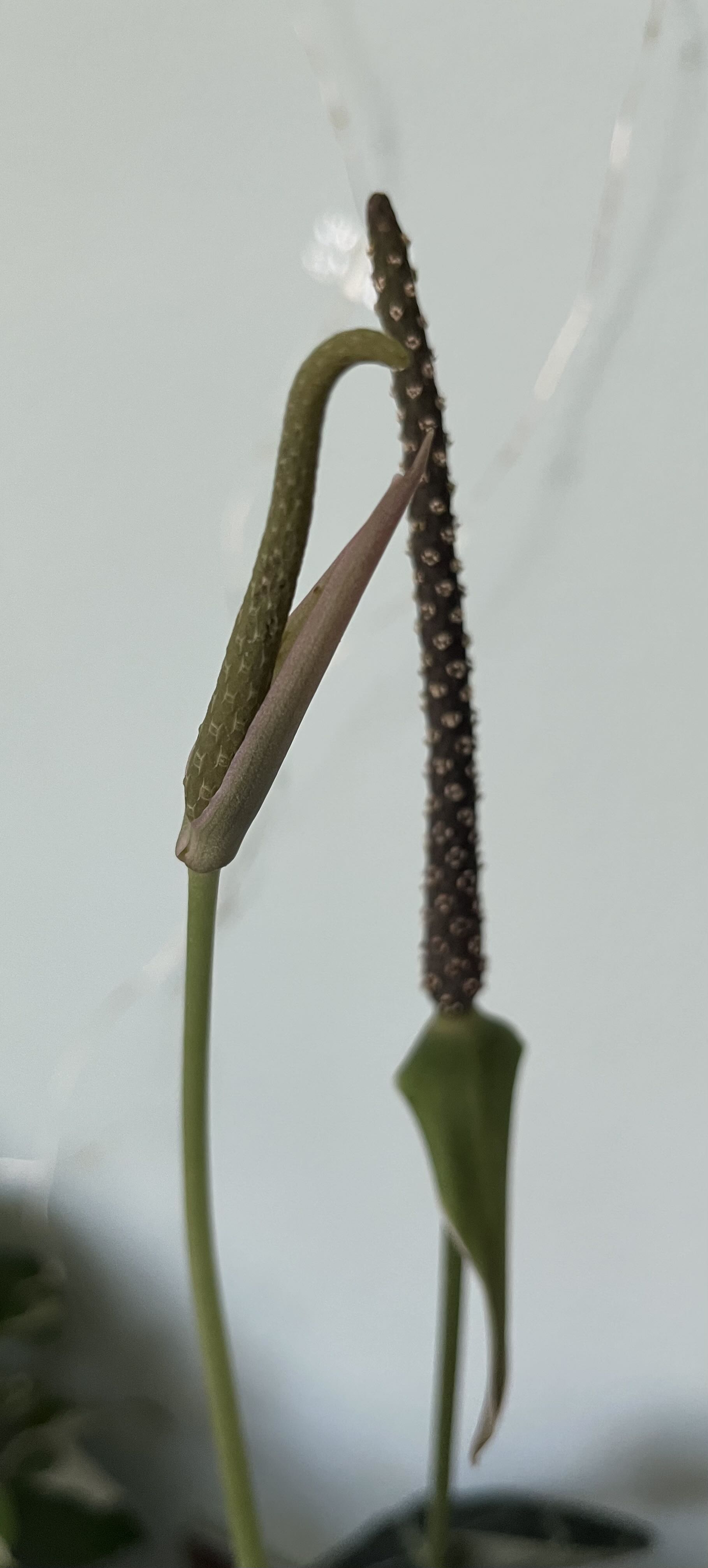 Photo from the post