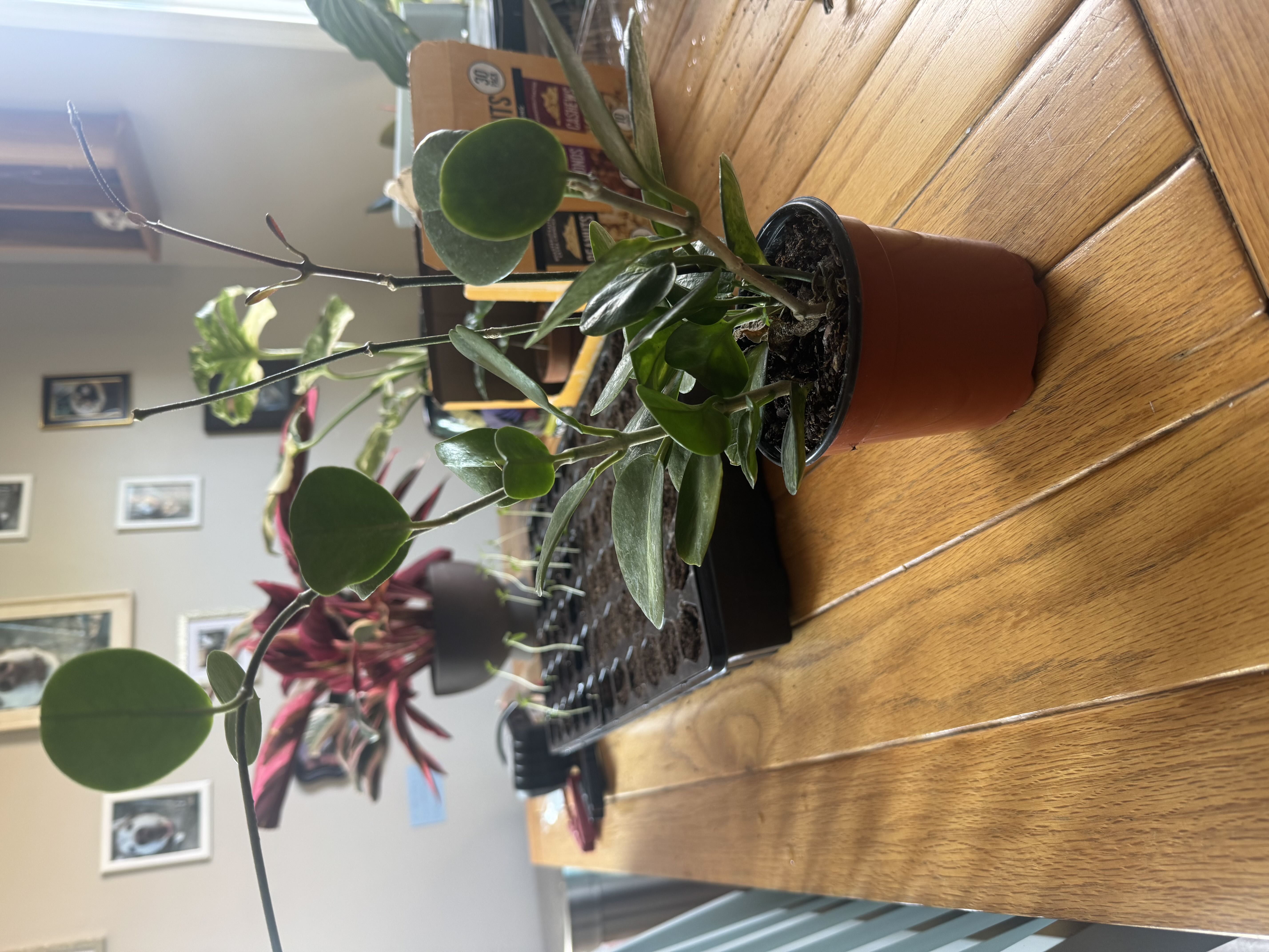 Photo from the post