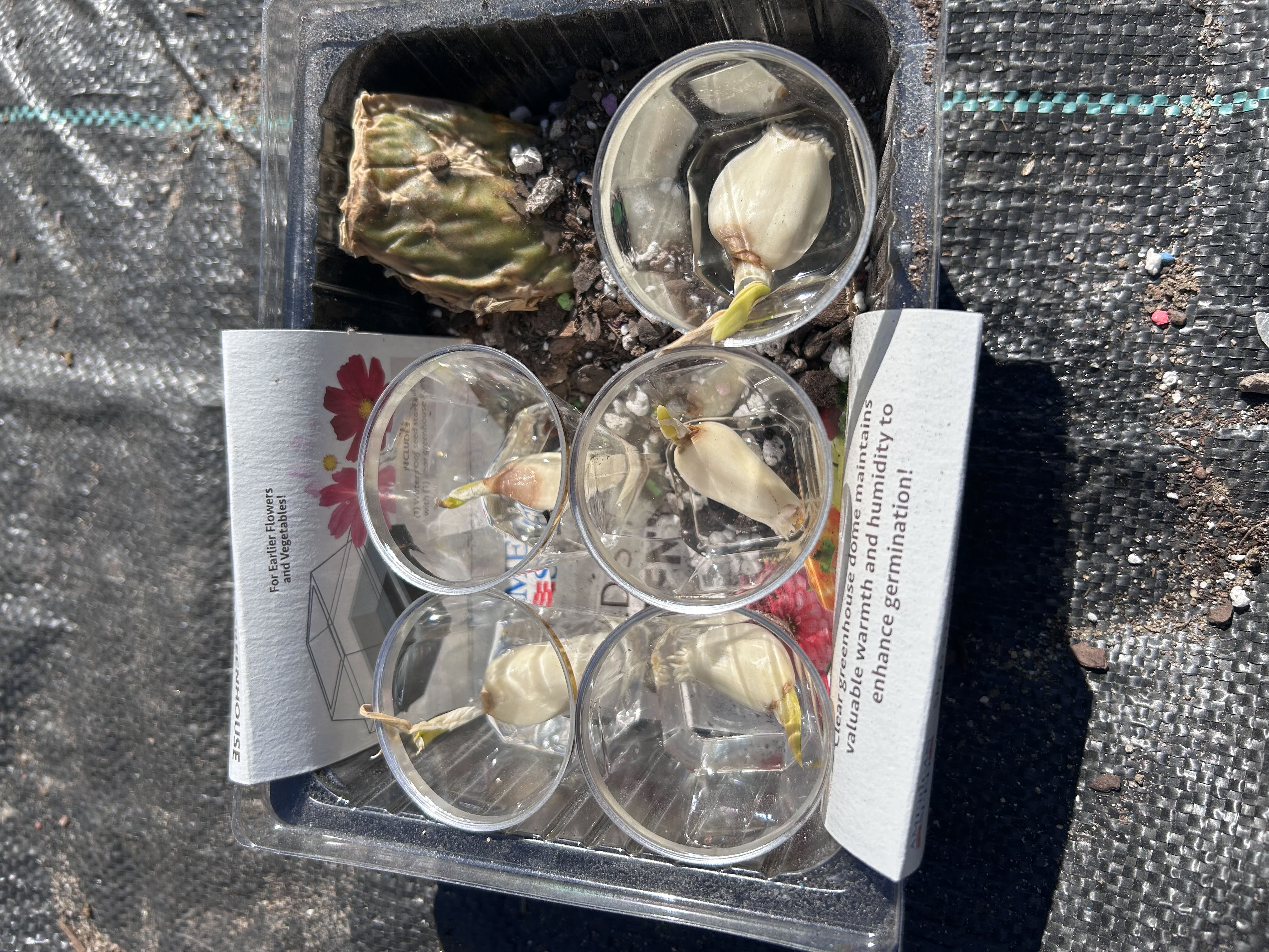 Photo from the post