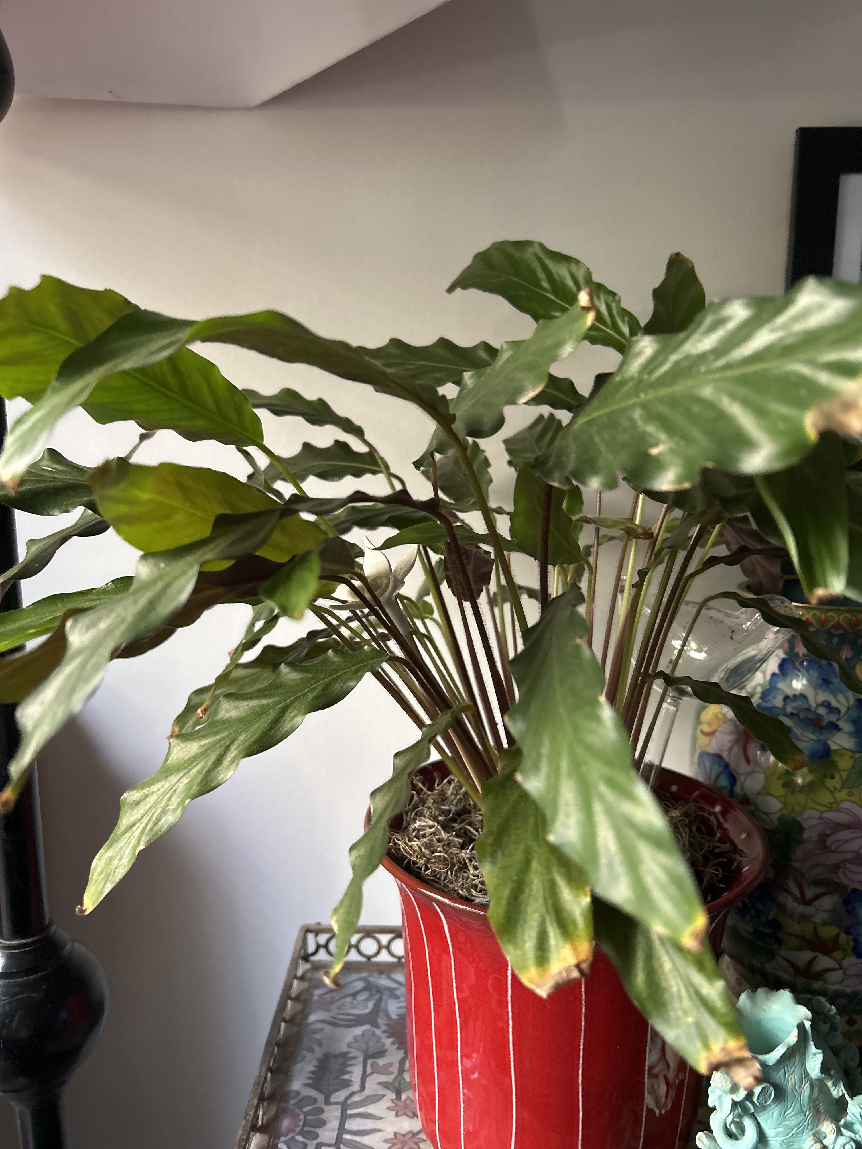 Photo from the post