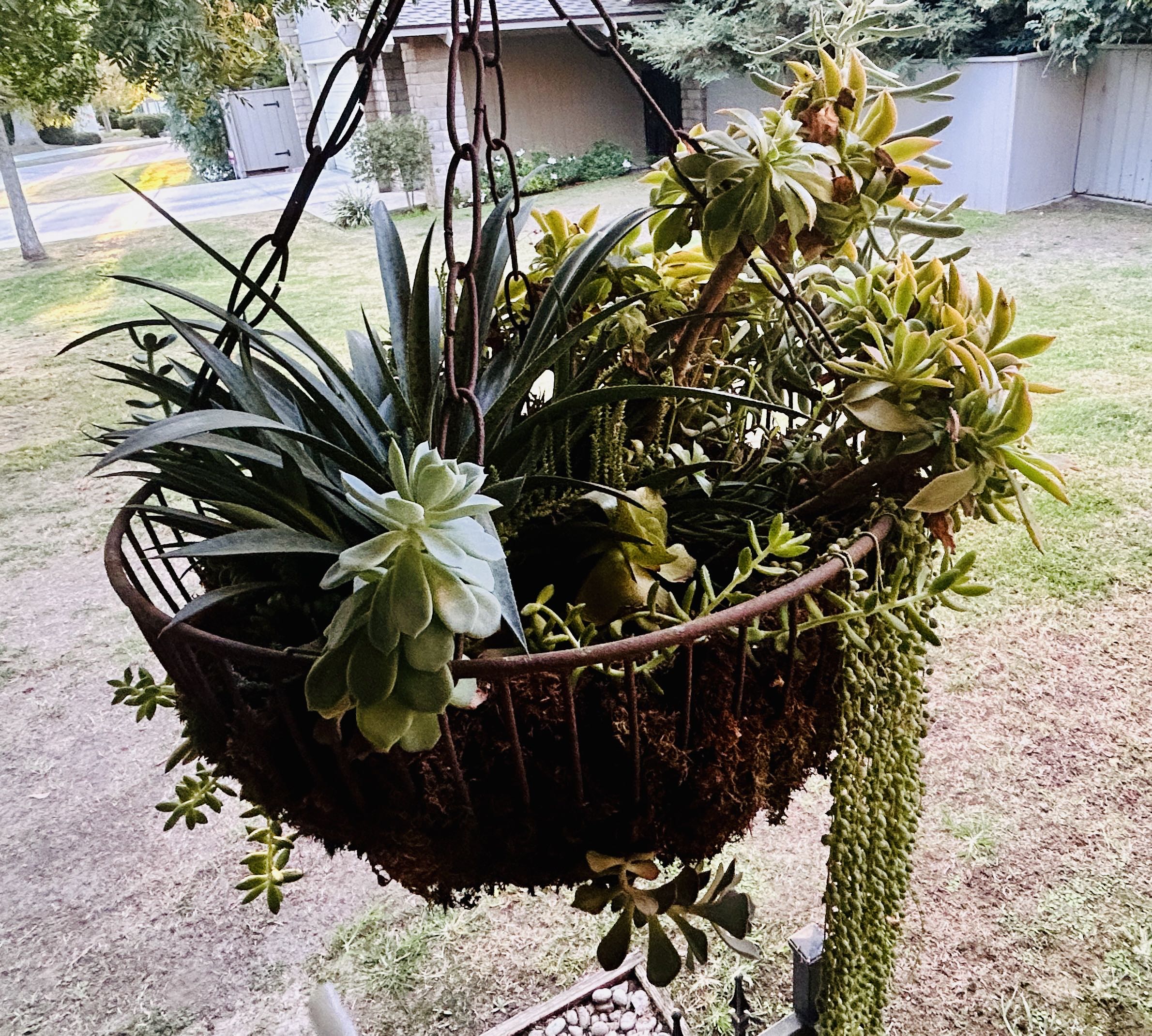 Photo from the post