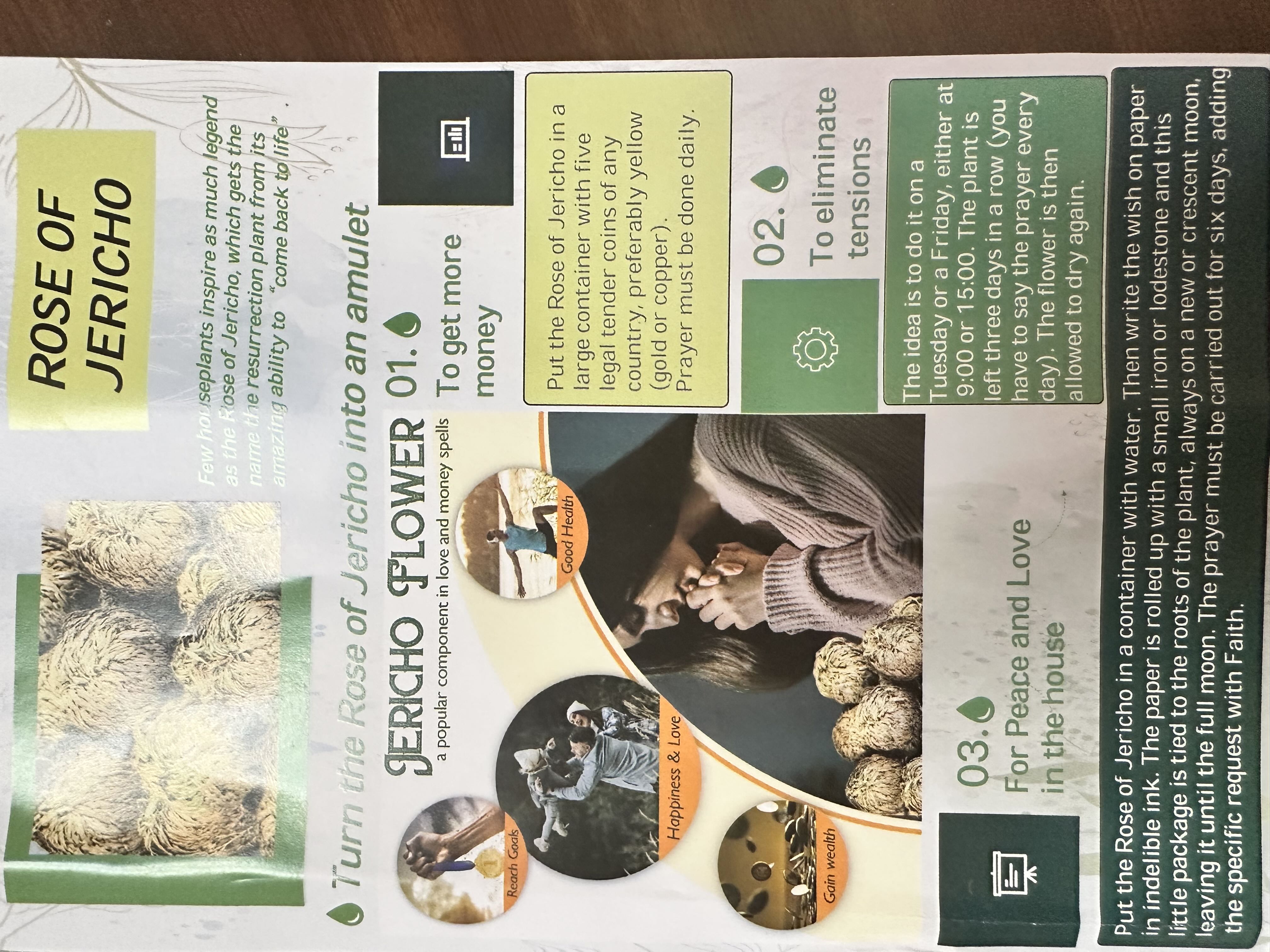 Photo from the post