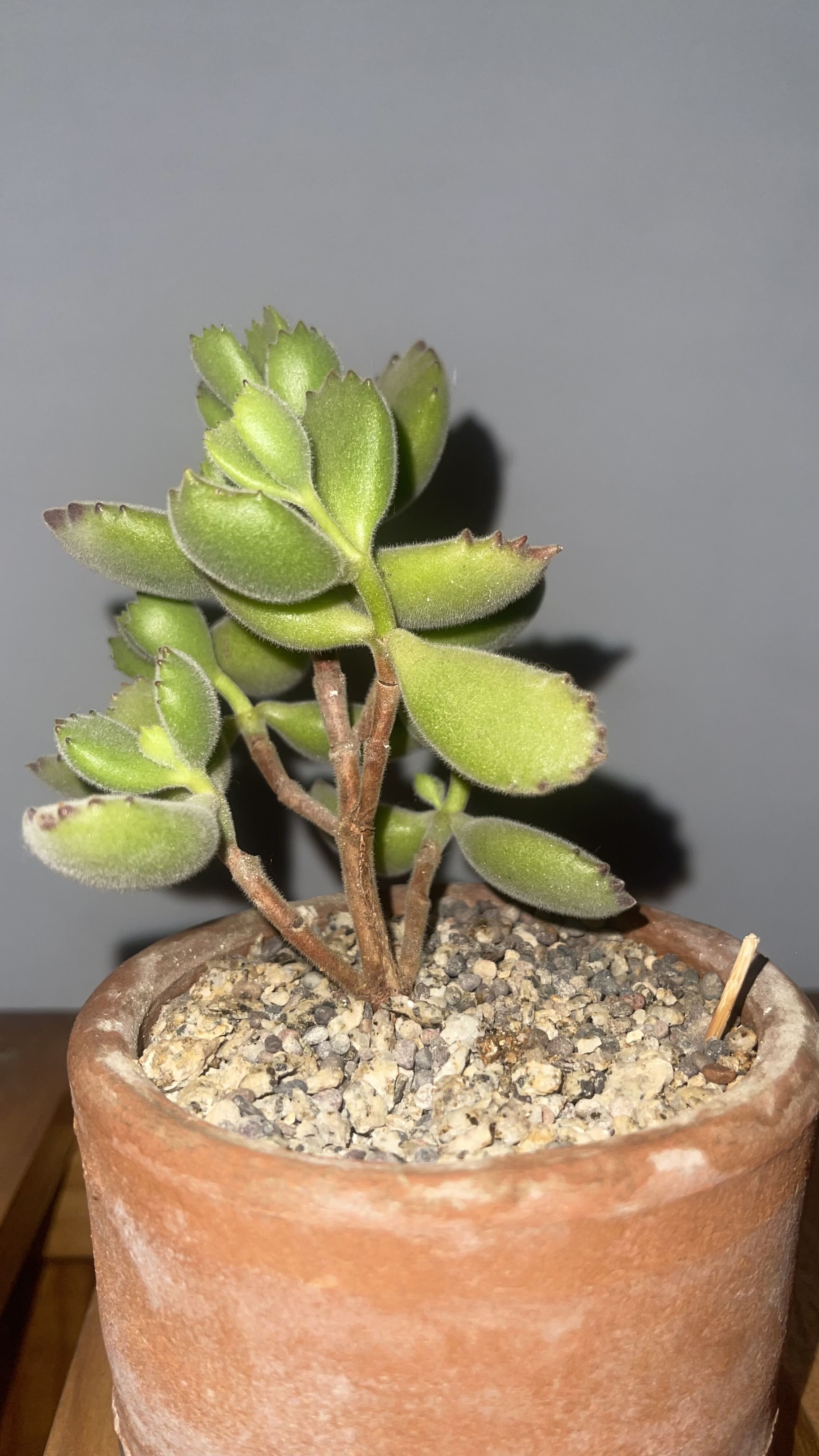 Photo from the post