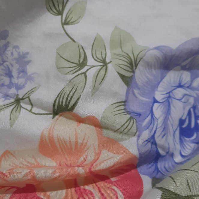 Photo of the plant species Miniature Gardenia by @QuemefulDyebush named Stella on Greg, the plant care app