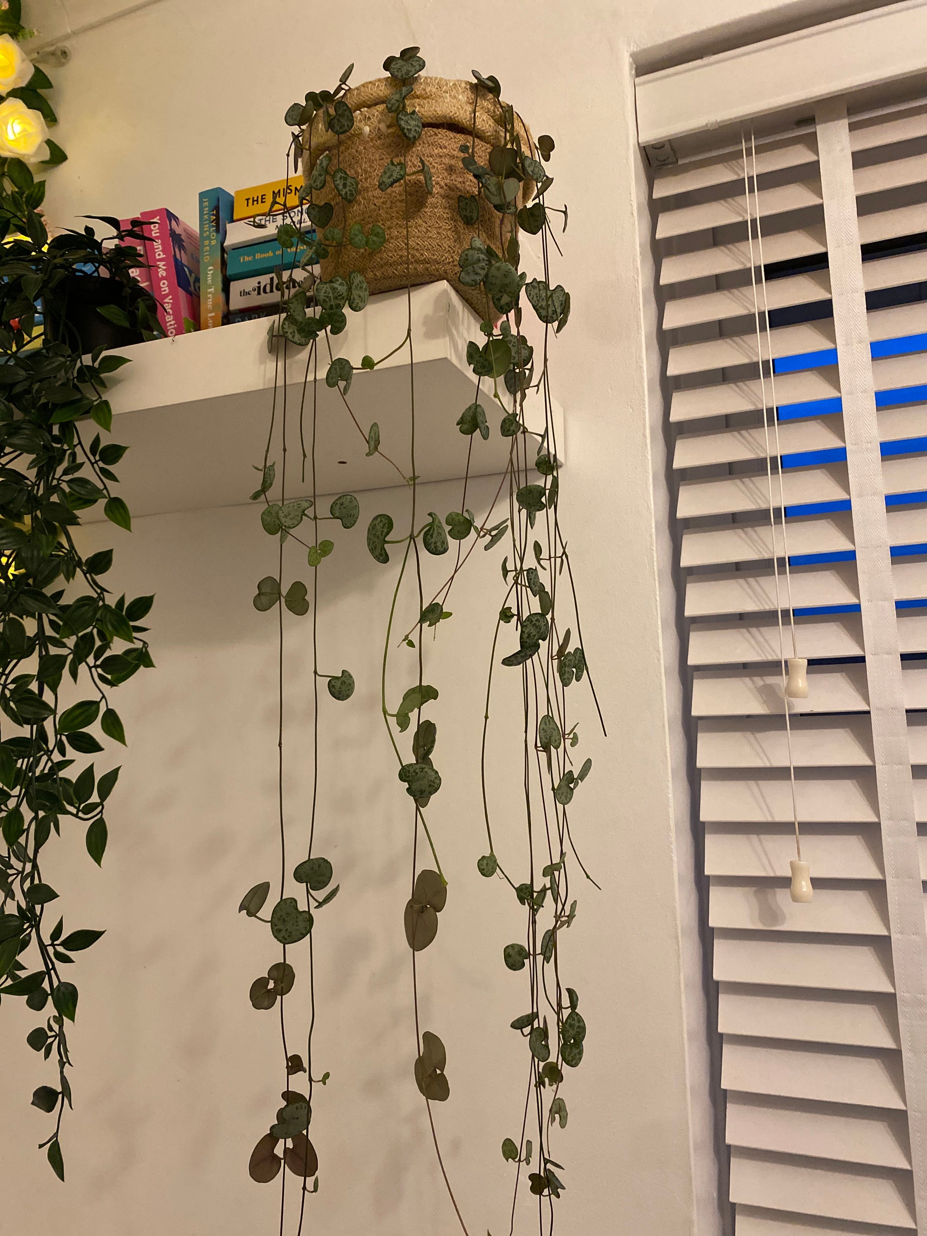 Bare spots on my string of hearts!!
