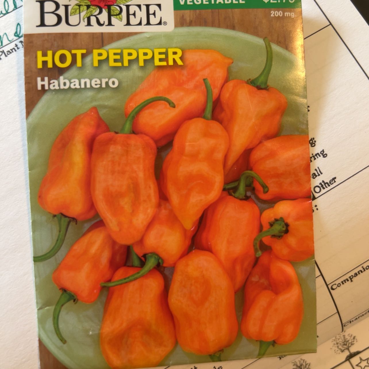 Photo of the plant species Orange Habanero by @ShuggsGarden named McKinley on Greg, the plant care app