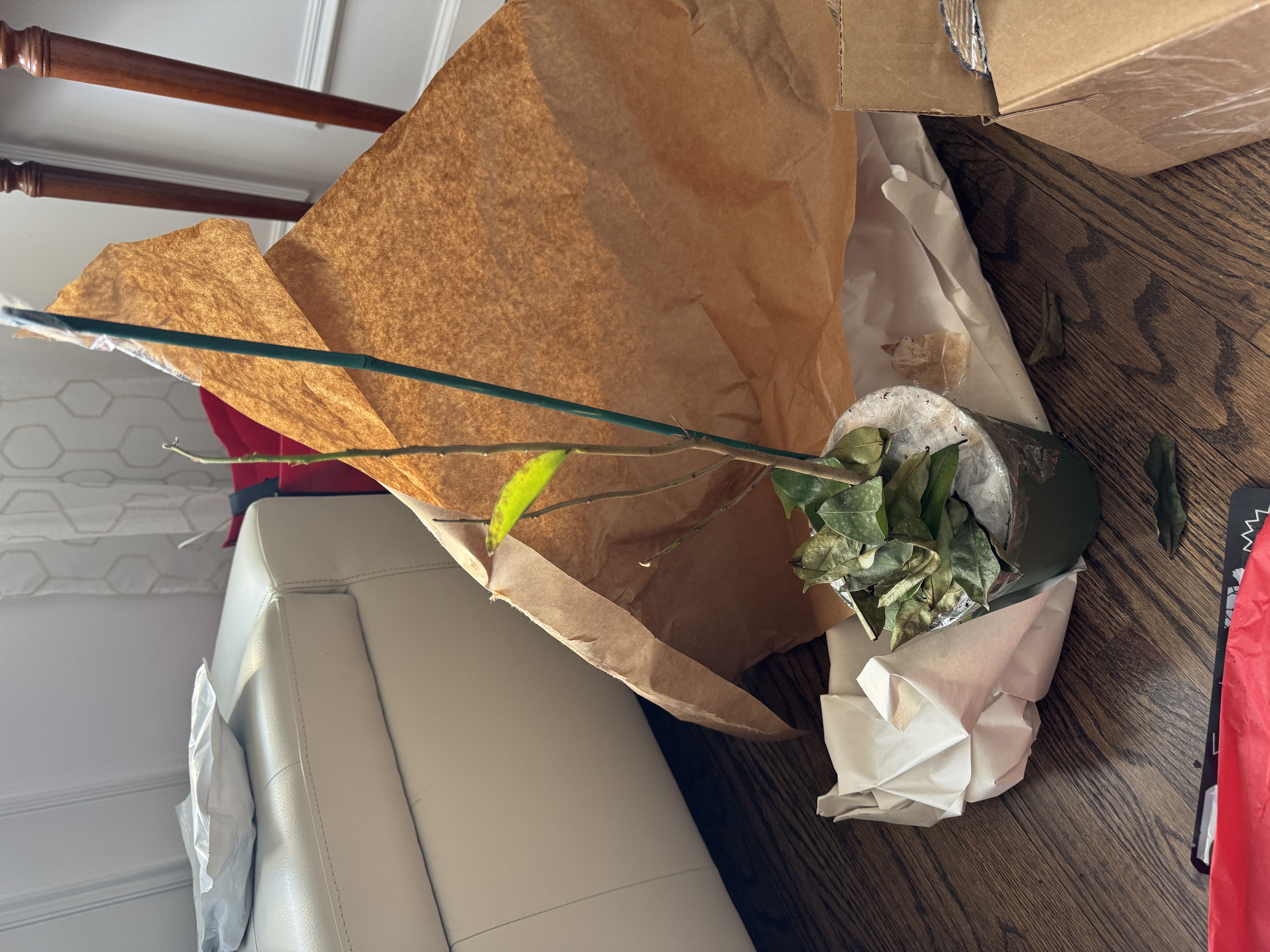 Photo from the post